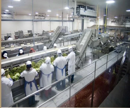 Taylor Farms_Workers.jpg