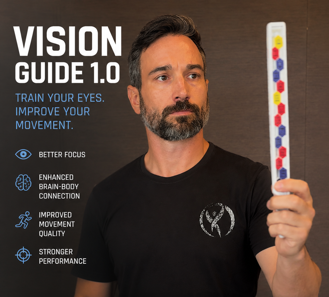 Vision Guide 1.0