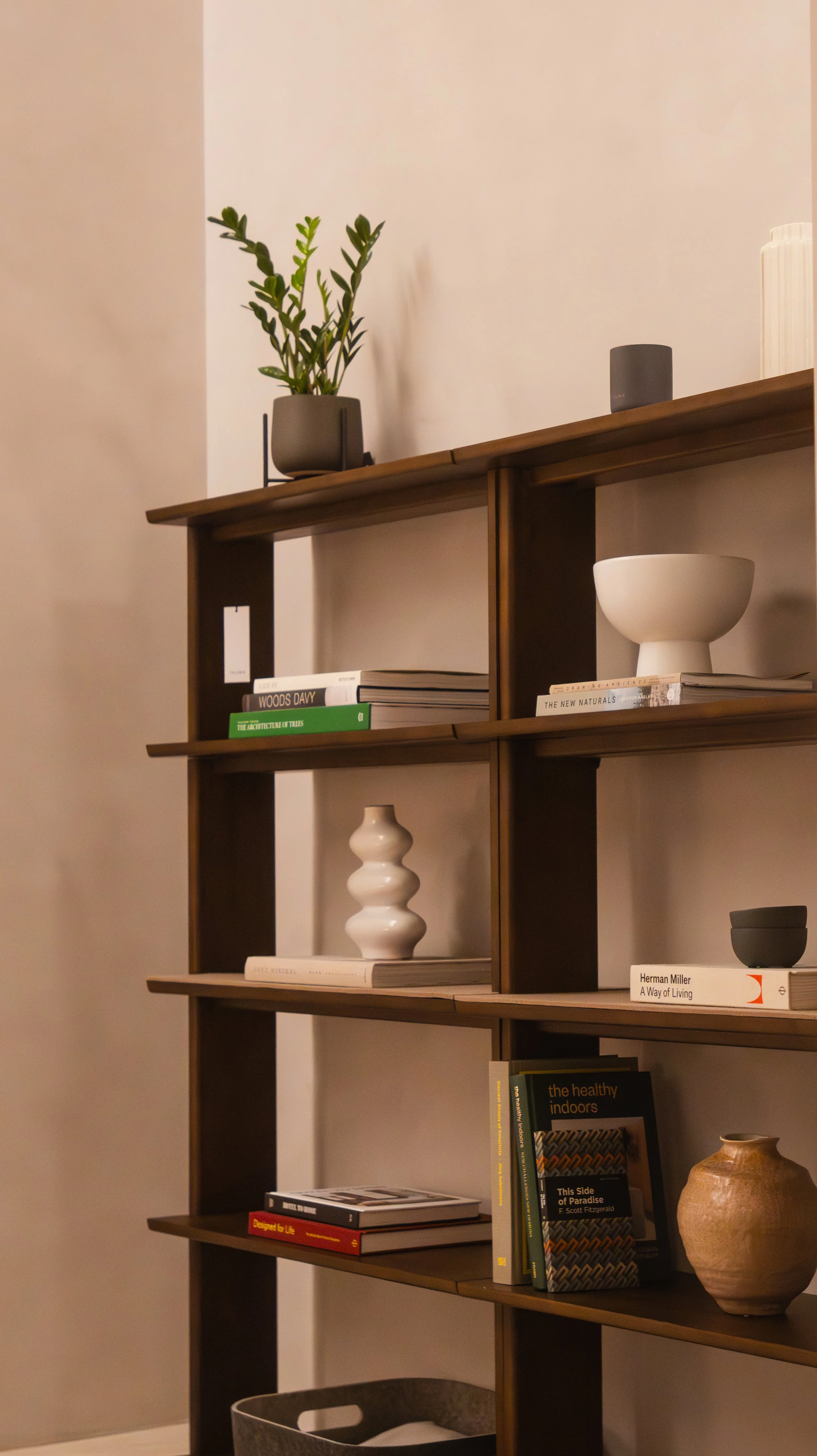 Wooden bookshelf with various books, decorative objects, and a potted plant on top.