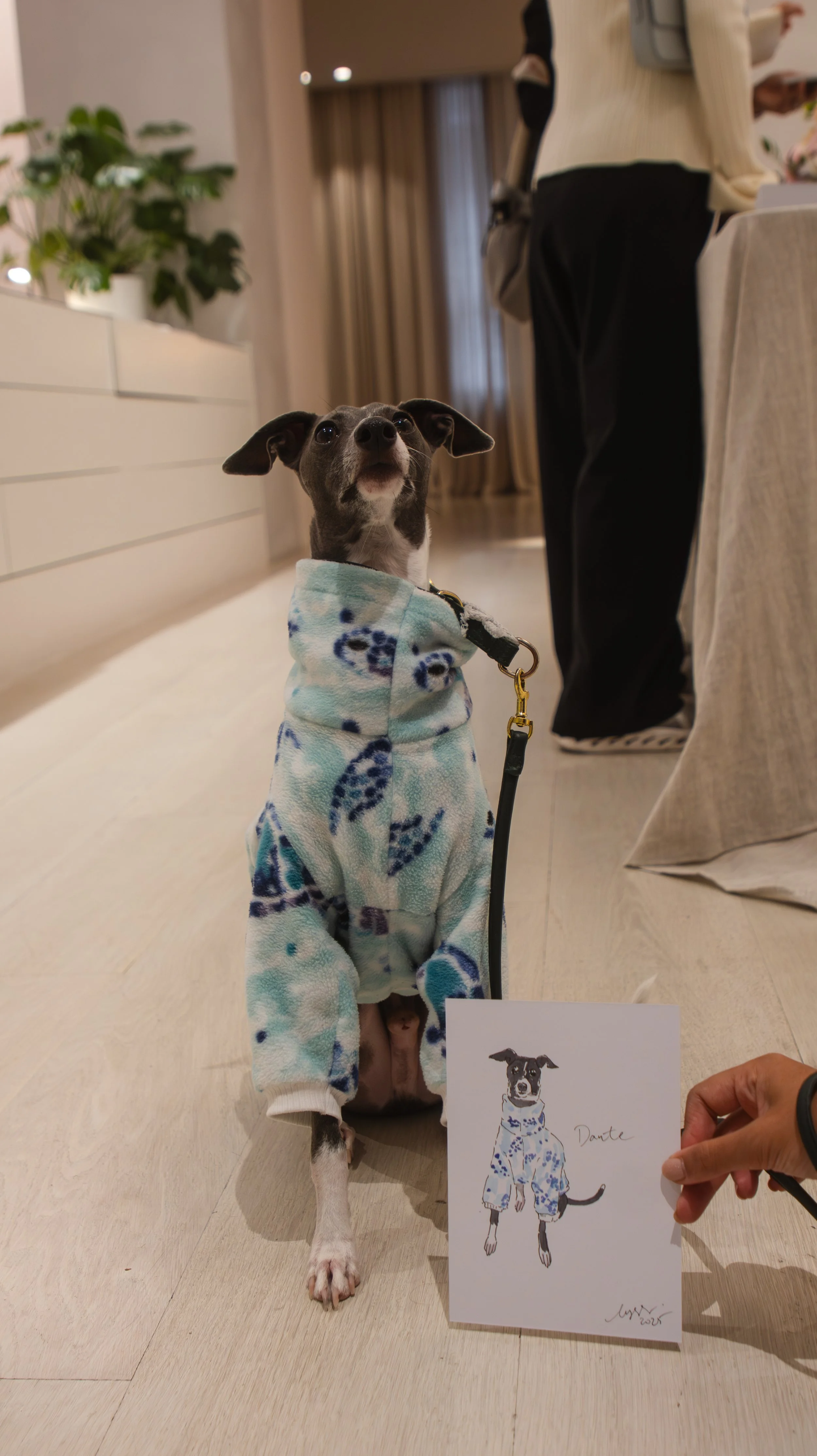 A small dog wearing a blue and white hoodie, sitting on a light-colored floor indoors. A drawing of the dog on a piece of paper is held by a person in the foreground. The background shows furniture, potted plants, and a person standing near a table.