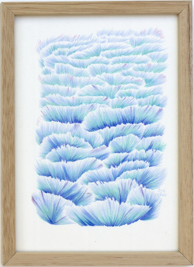 Les Chrysophiles, Safae Moatassime — crayon de couleur sur papier, 18 × 12,5 cm, 2026