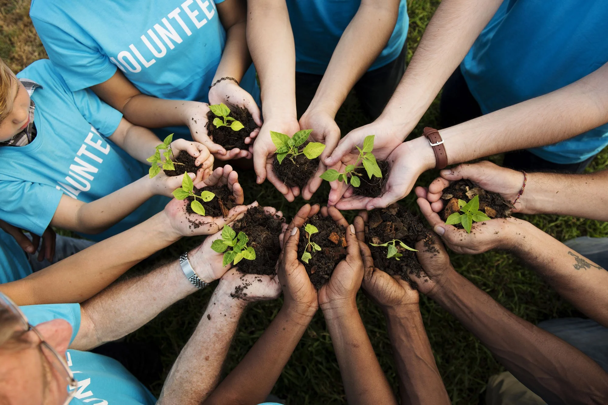 Environment charity image