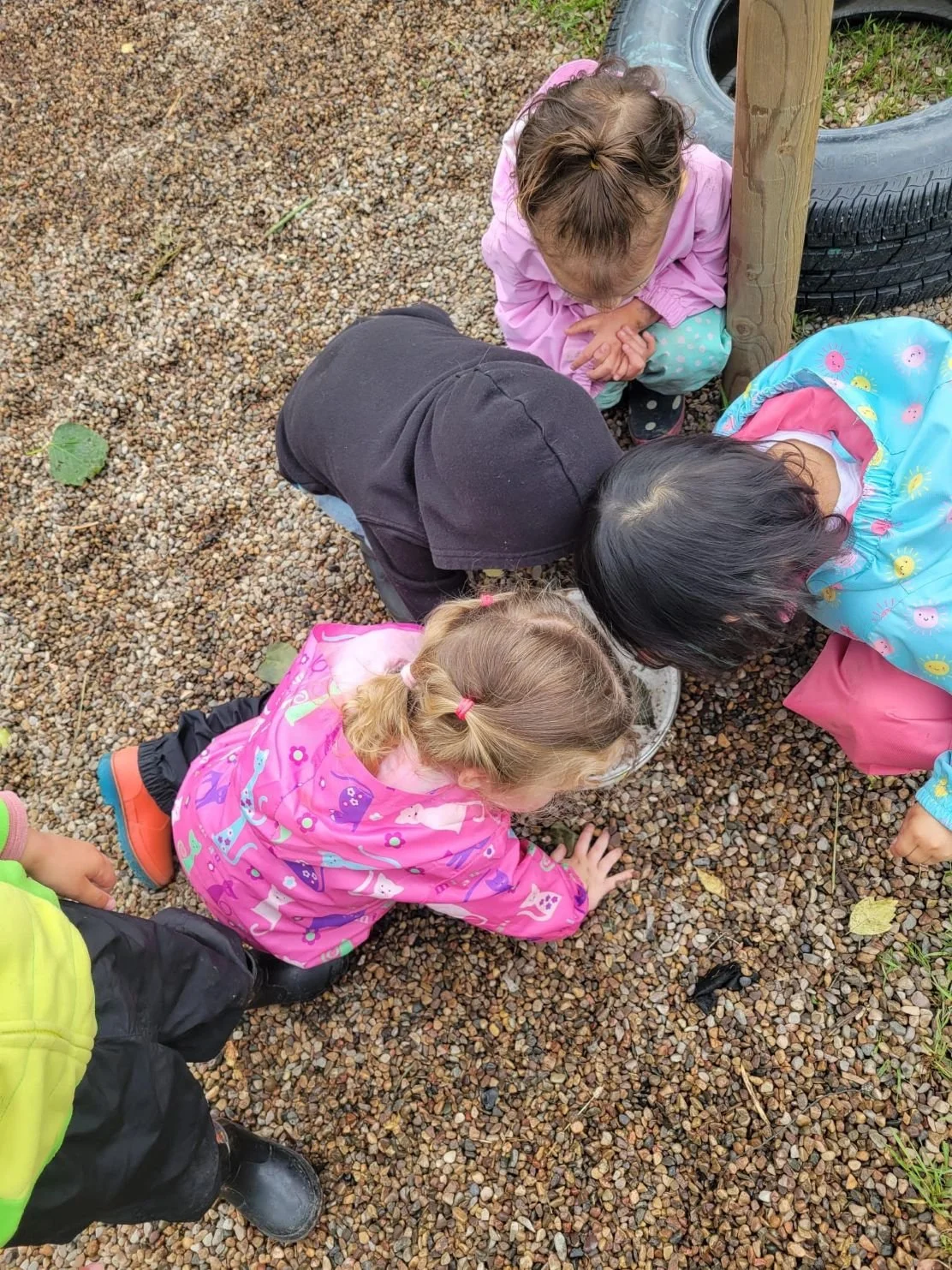 A group of young children gathered closely in a circle on a gravel playground to examine rocks and nature during outdoor daycare play.