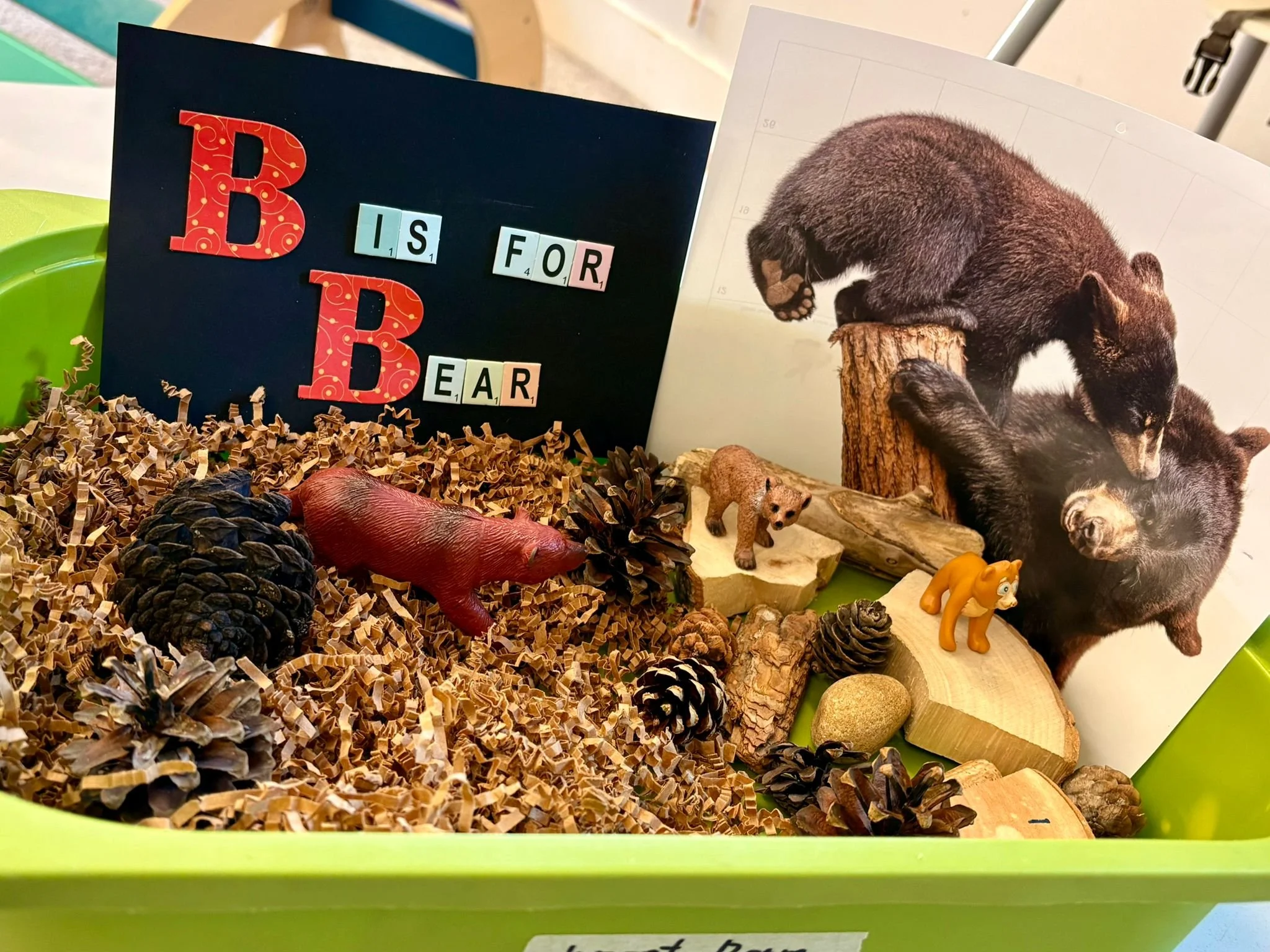 An educational sensory tub themed 'B is for Bear' filled with wood shavings, pinecones, toy bears, and forest elements.