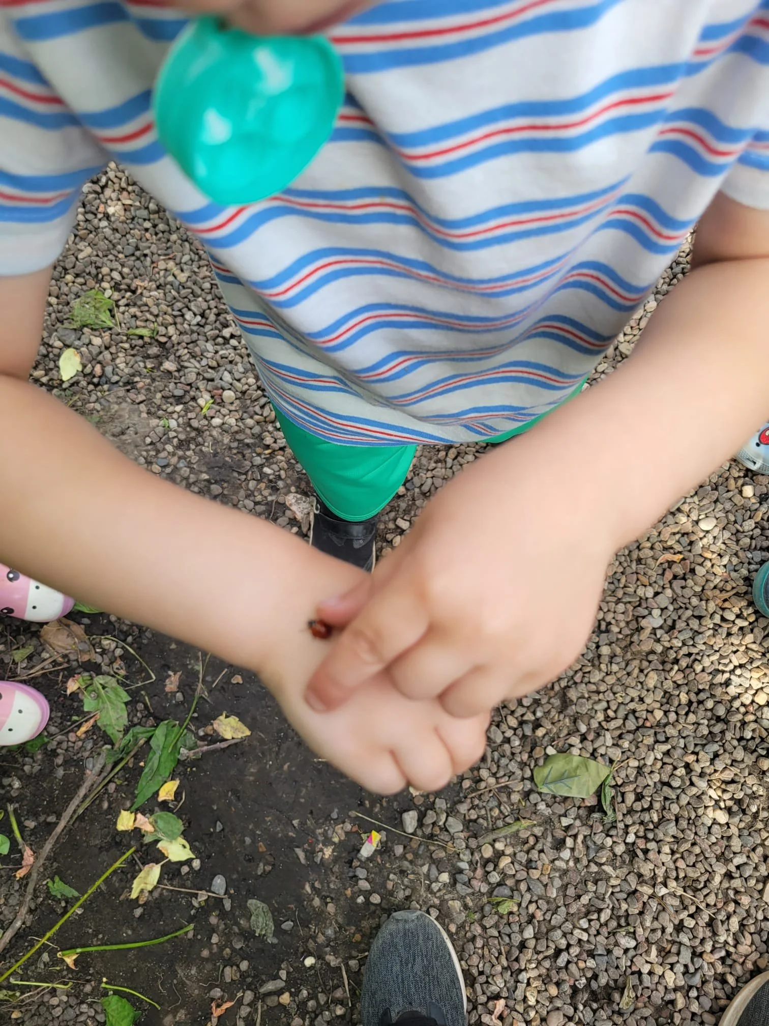 A close-up view of a young child's hand gently examining a small insect during outdoor learning time
