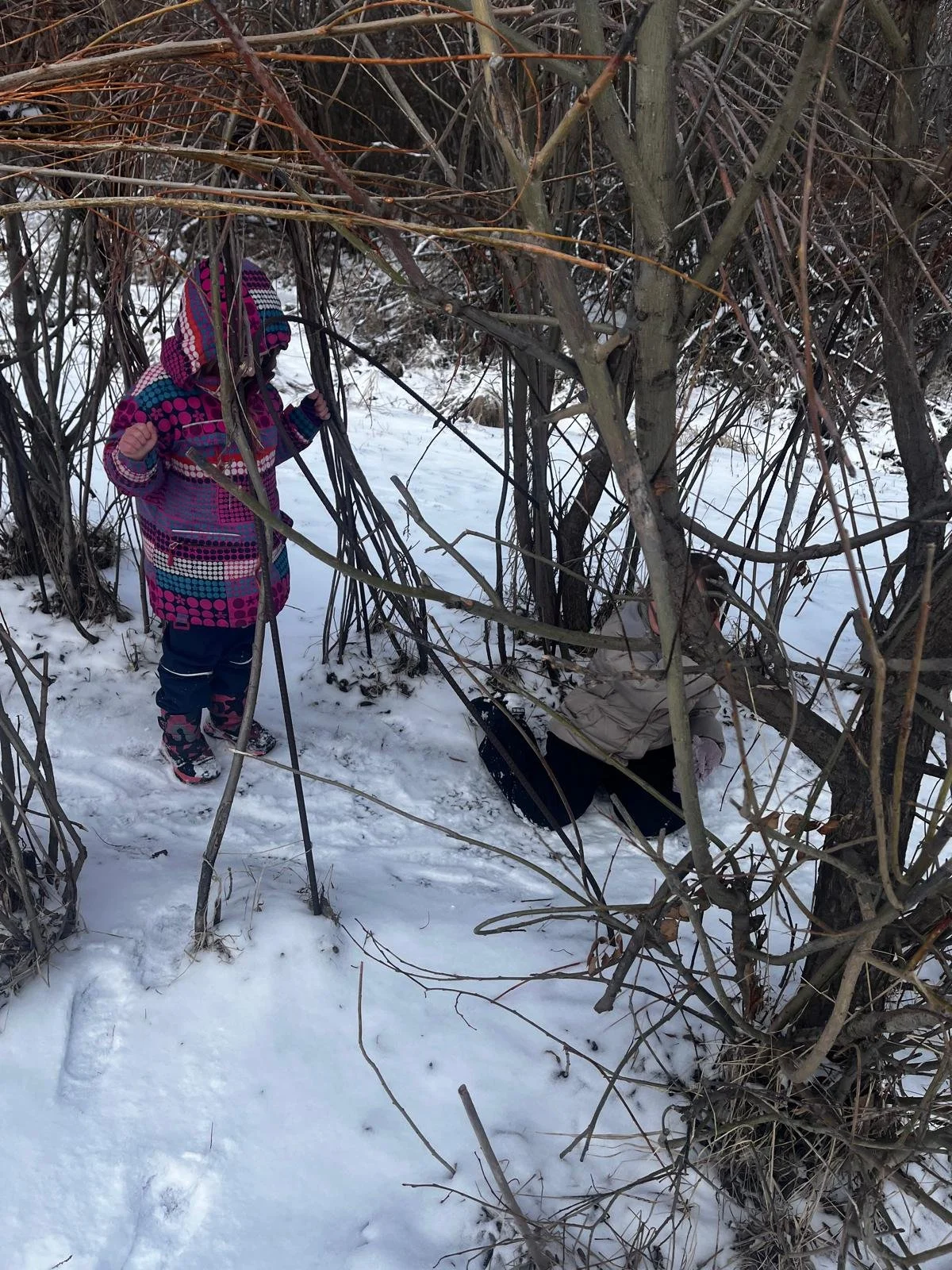 Young children dressed in winter outerwear exploring snowy trees and building a fort.