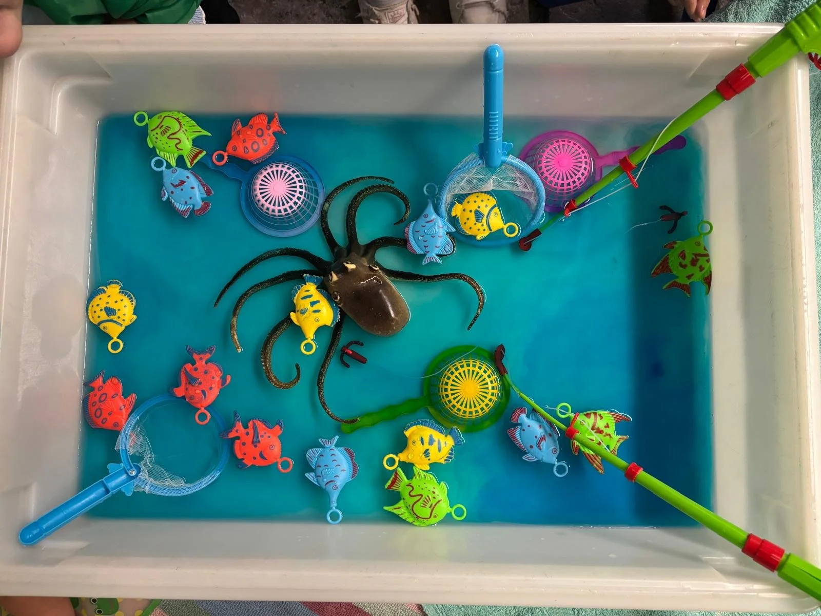A water sensory bin filled with blue water and toy ocean animals like fish and an octopus.