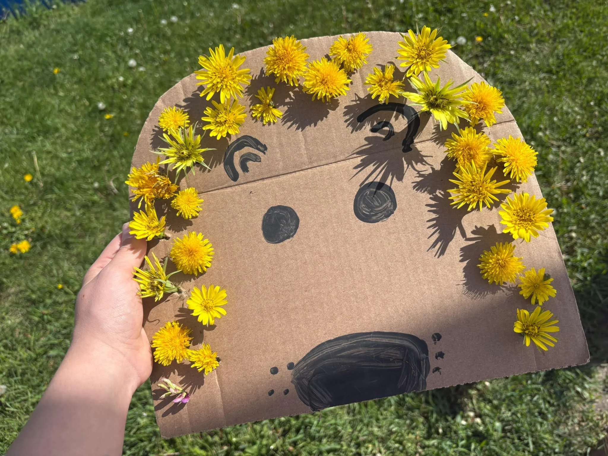 A child's pre-kindergarten craft featuring a cardboard lion face decorated with freshly picked yellow dandelions as a mane.