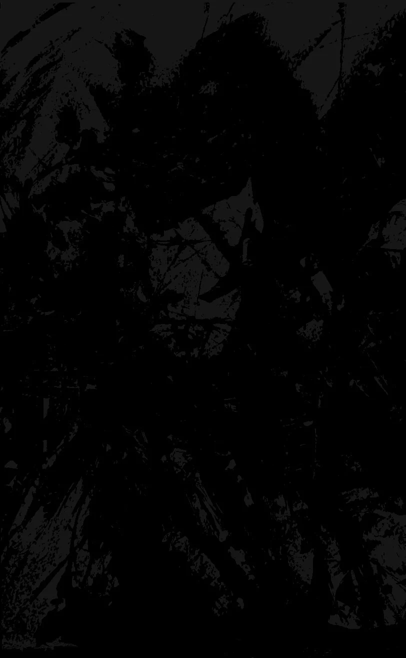 The image appears to be very dark and obscured, making it difficult to clearly identify objects or details.