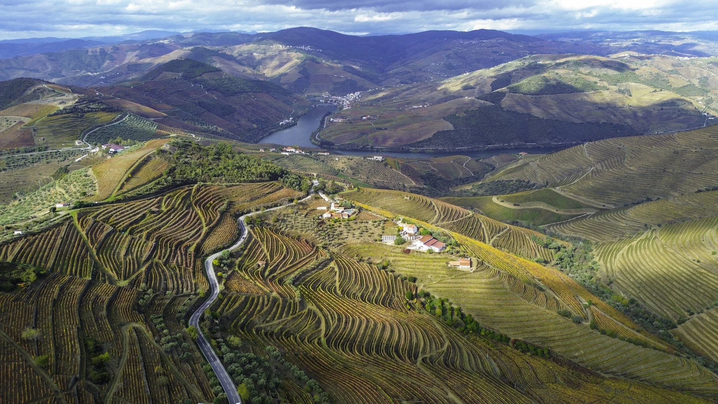 Aerial view of terraced vineyards on rolling hills with a river flowing through the valley, surrounded by mountains and a partly cloudy sky.