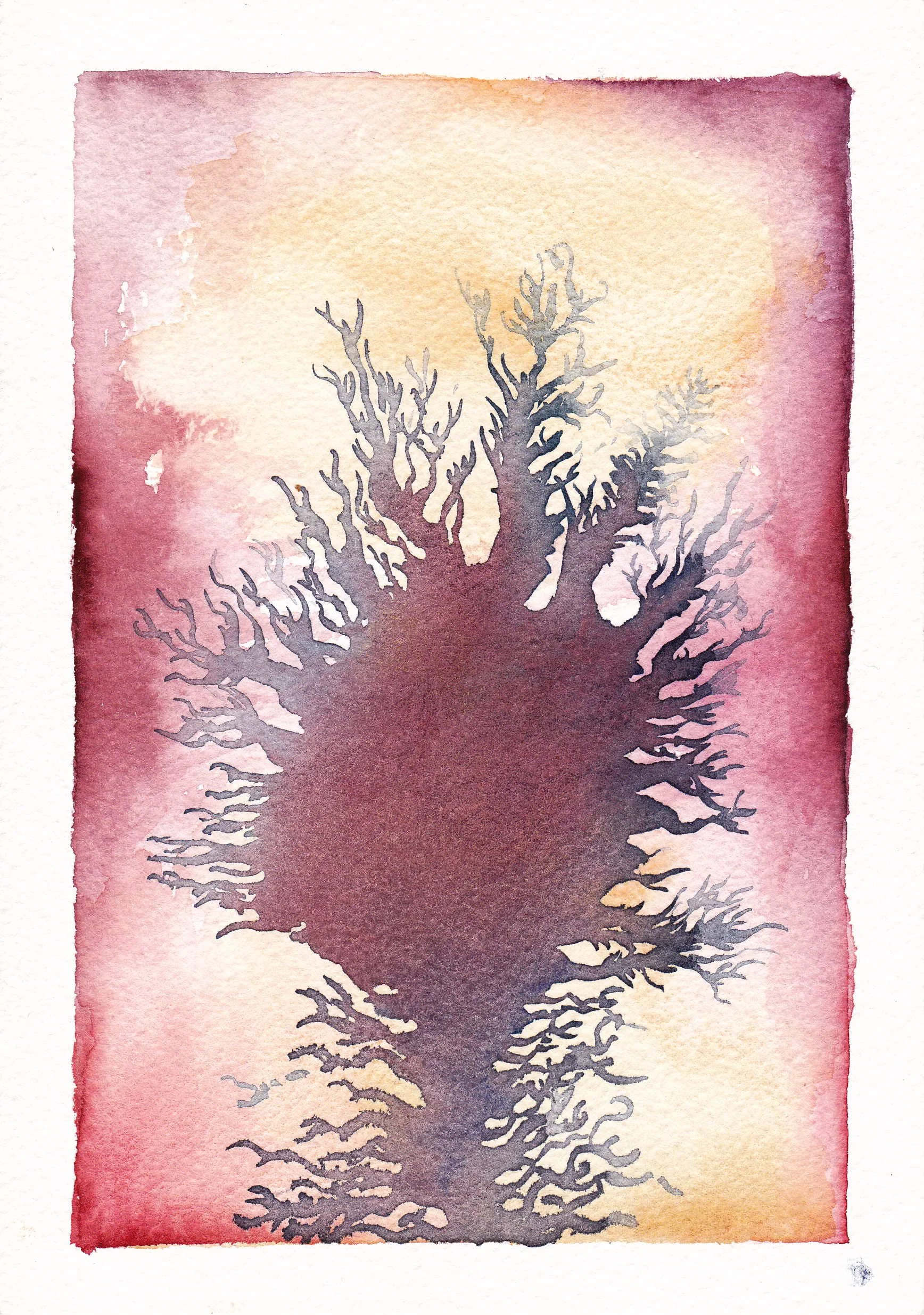 Lung of a Polluted River.jpg