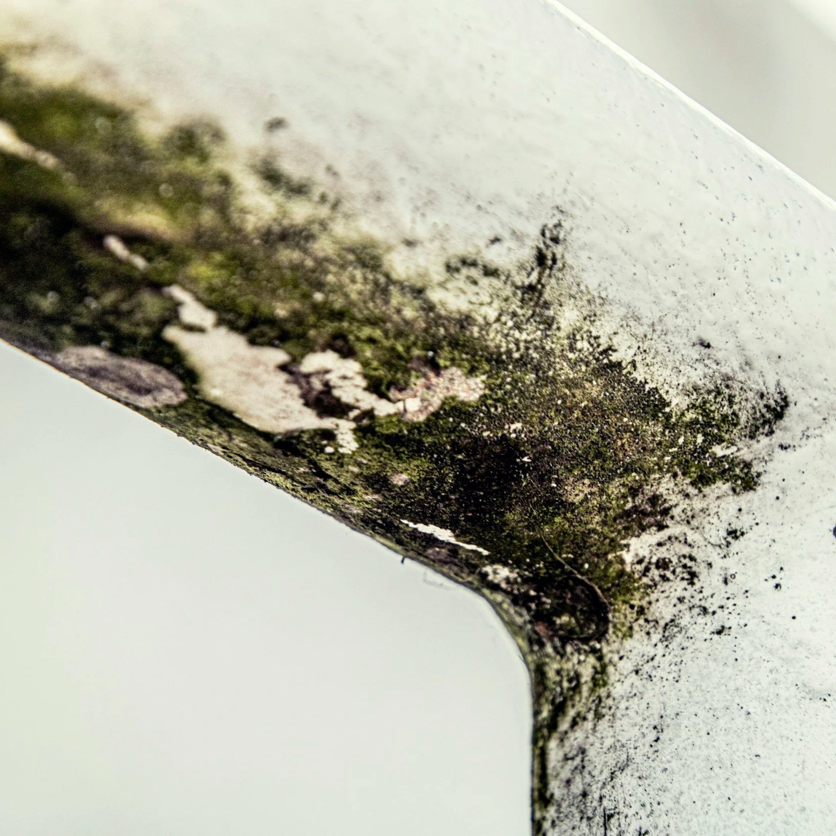 Close-up of a textured, weathered metal object with moss and dirt, showing rust and corrosion.
