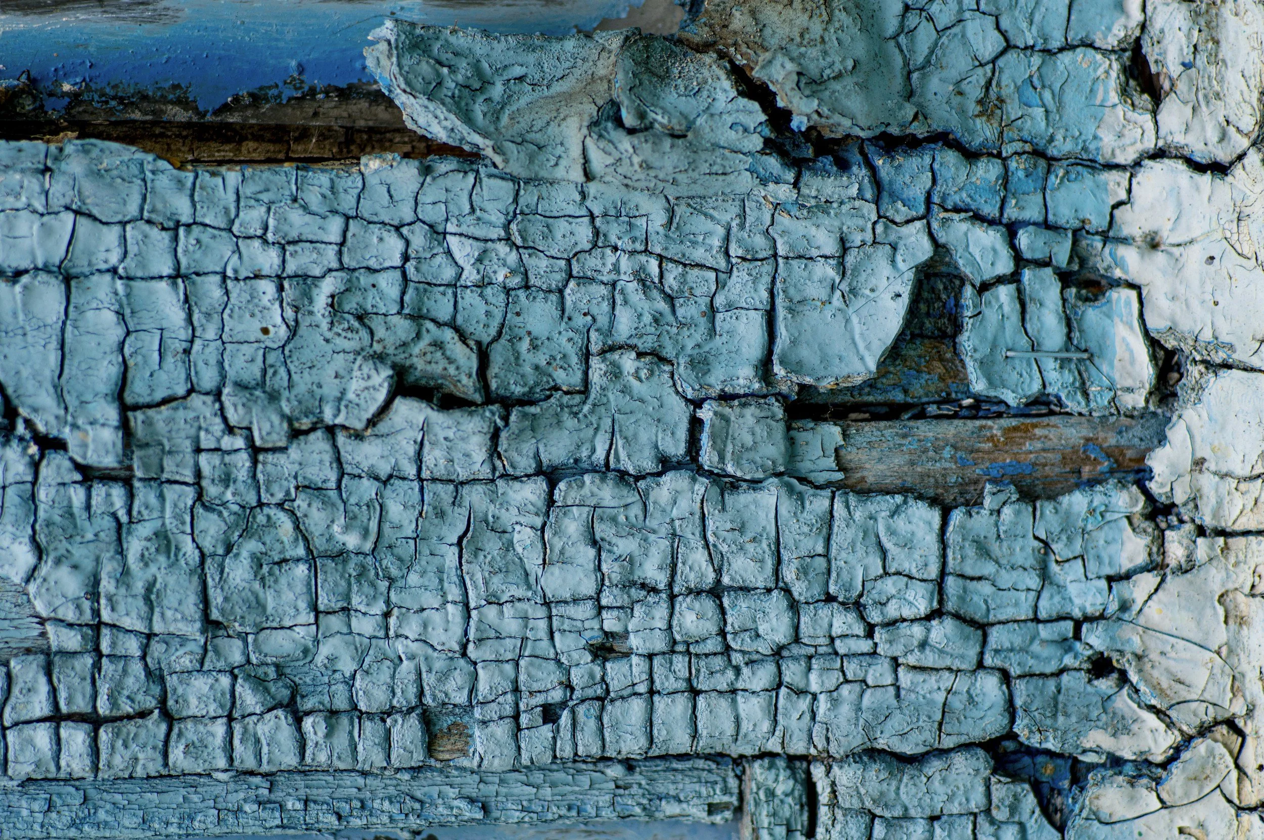 Close-up of weathered blue and white painted wood with cracked and peeling paint.