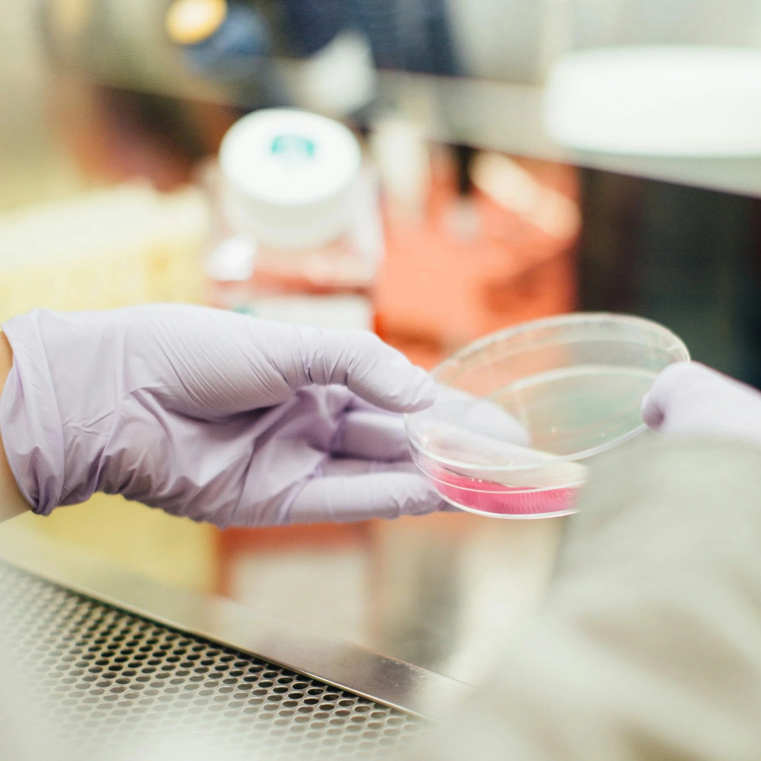 A person wearing a purple glove is placing a small container into a sterilizer machine with a mesh surface at the bottom.