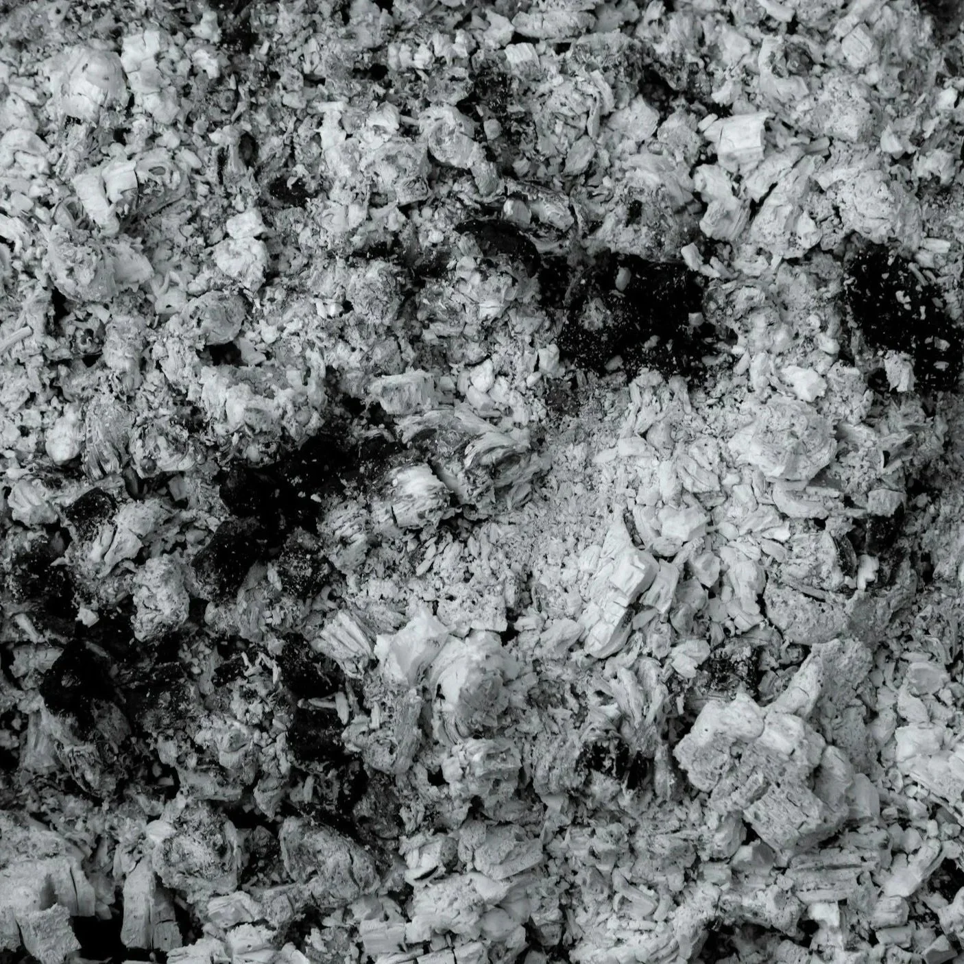 Close-up of white ash and charcoal from a burnt fire.
