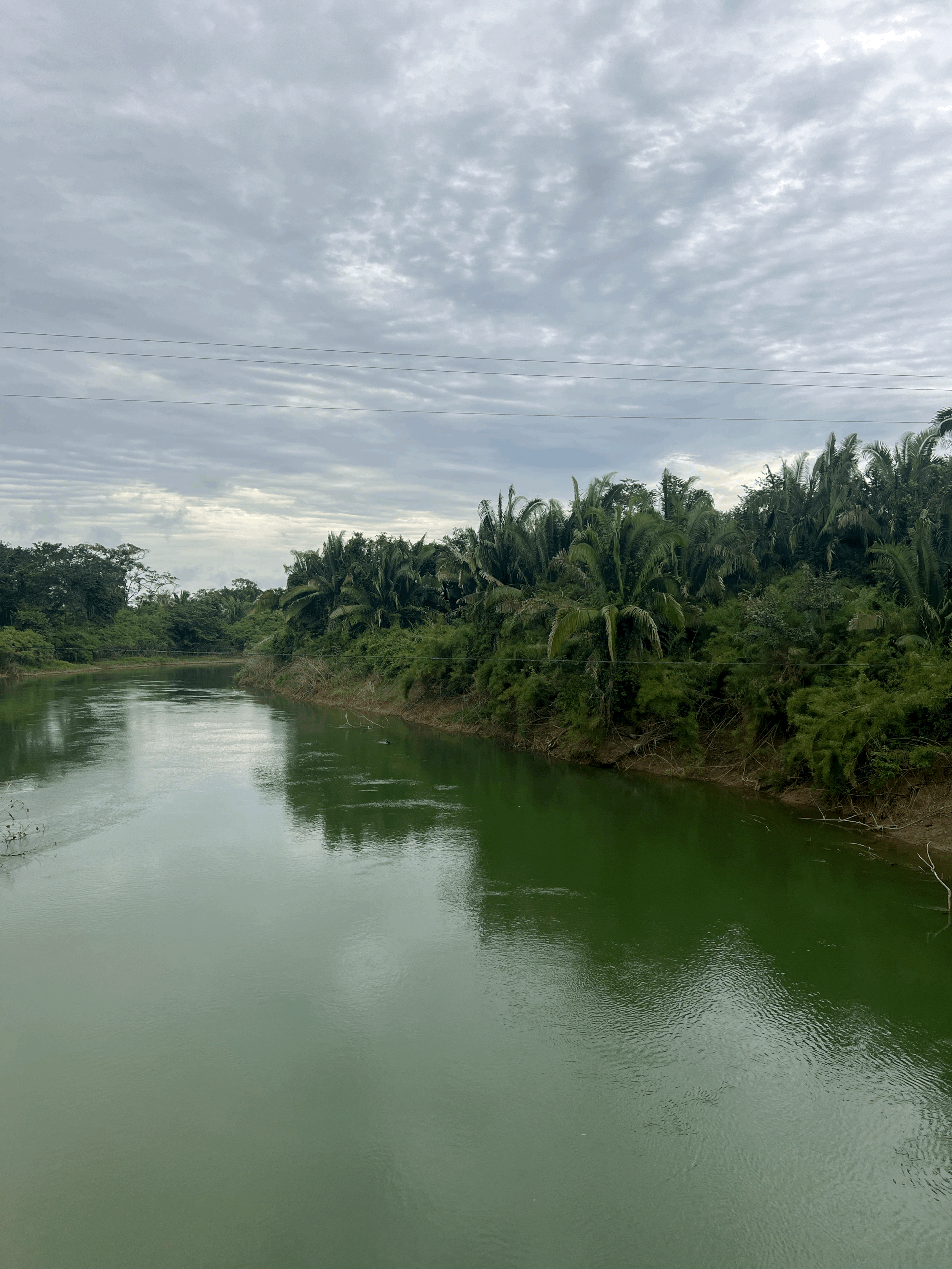 BioSirens Launch in Belize
