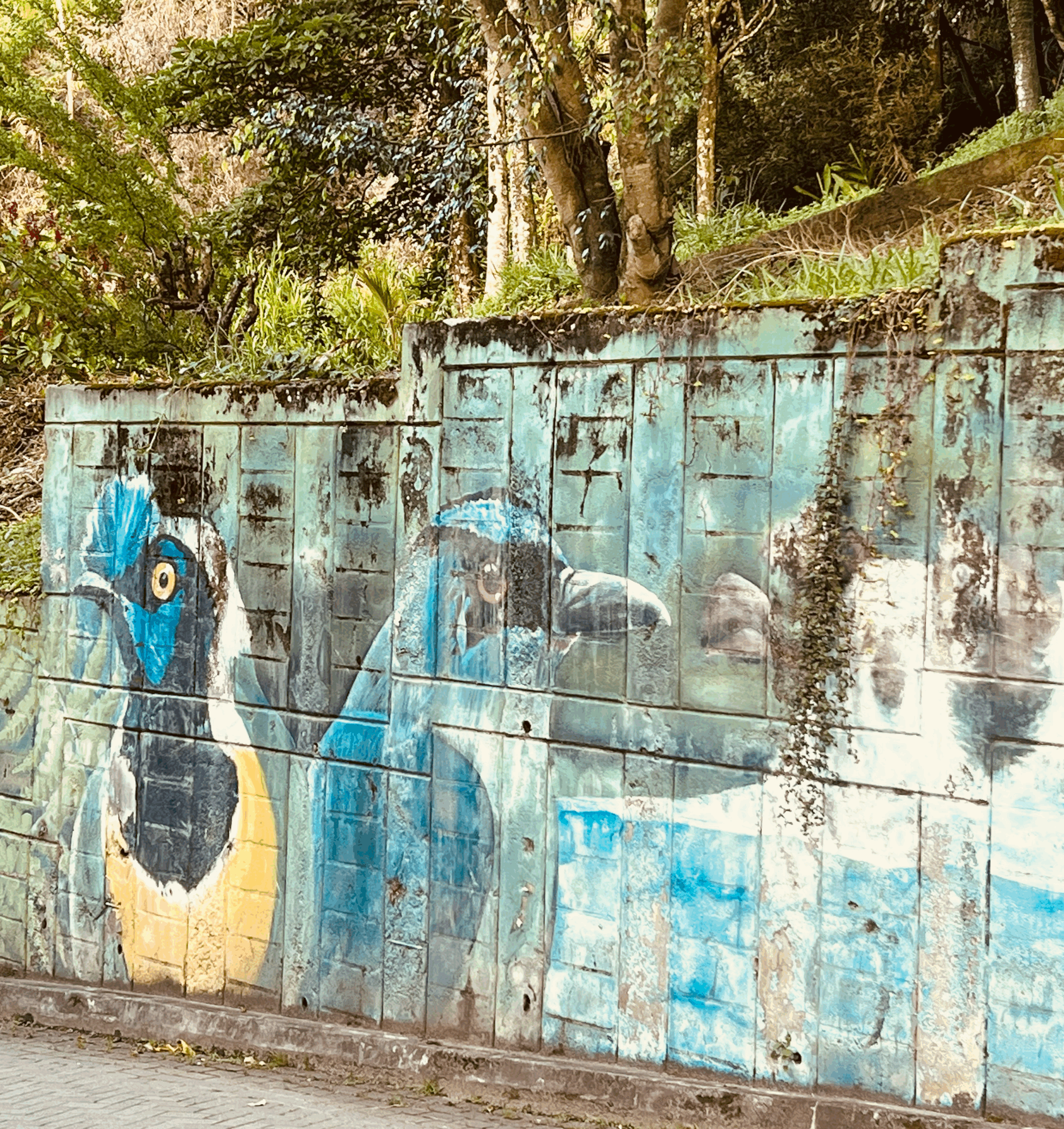 BioSirens Launch in Colombia