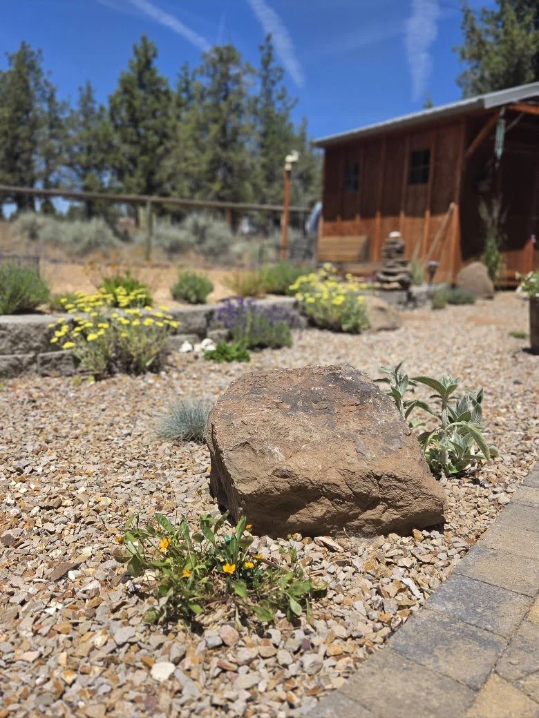 A landscaped garden with a large rock in the foreground, colorful flowers, small shrubs, and a wooden shed in the background under a blue sky.