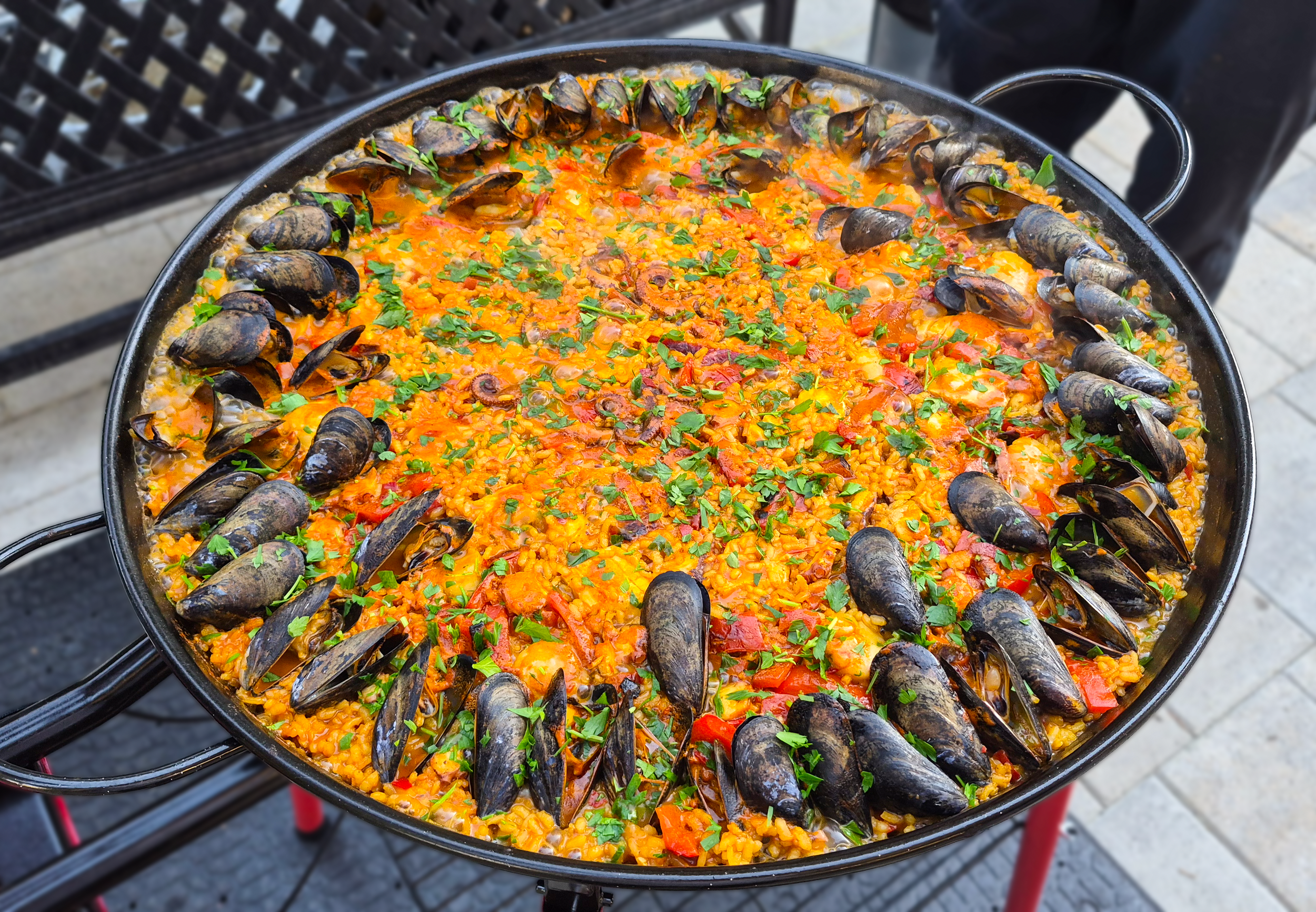 Anya Paella June.png