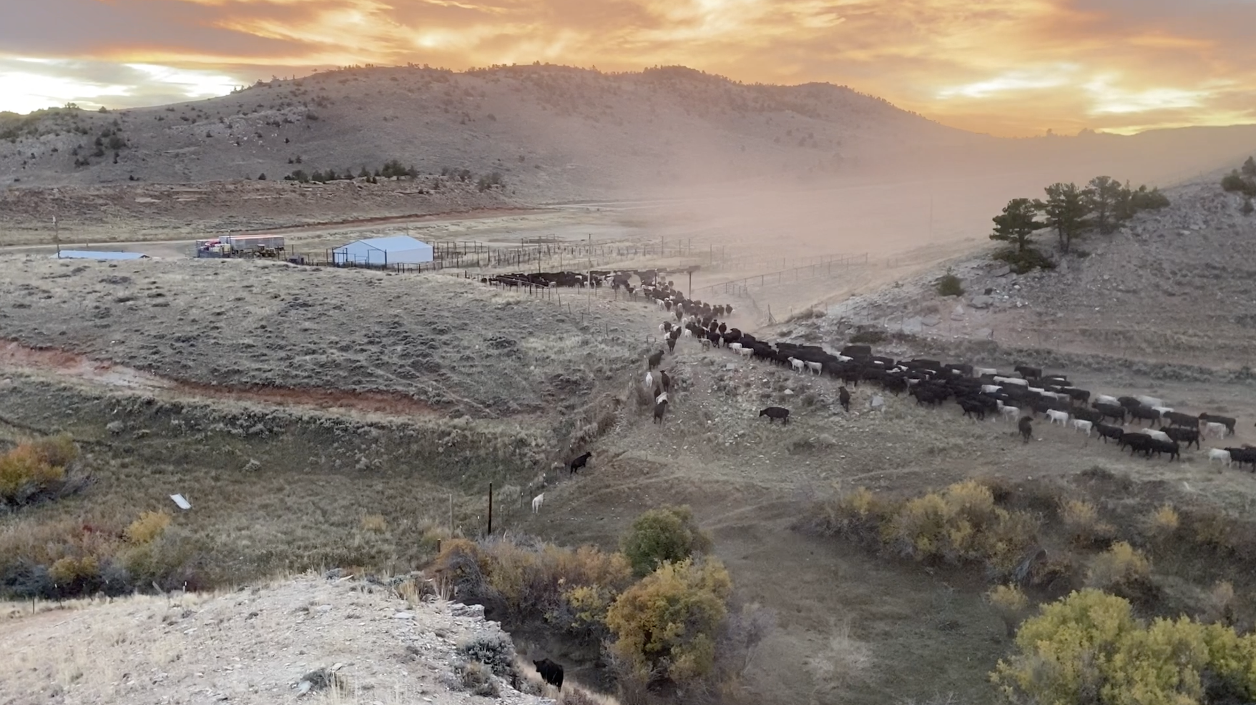 Public Lands