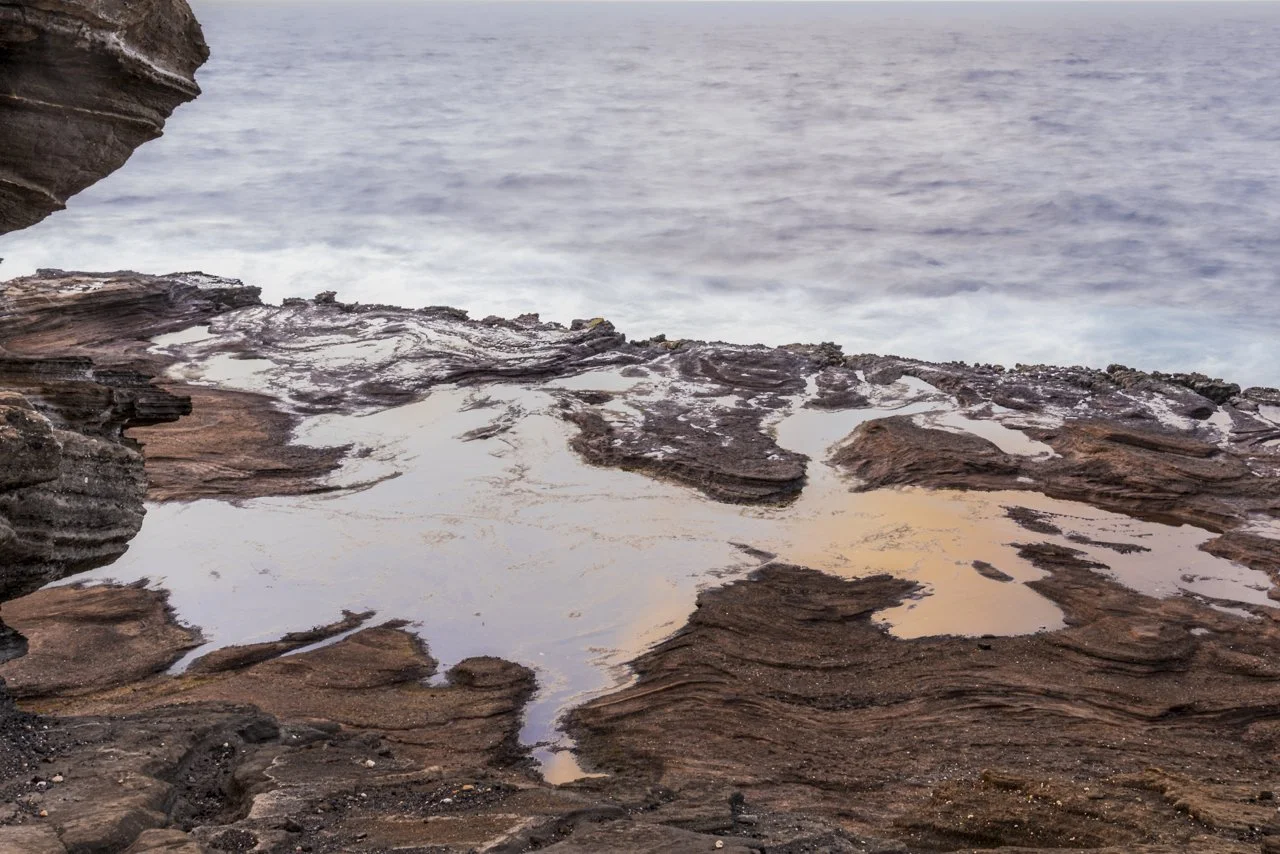 Tidepool