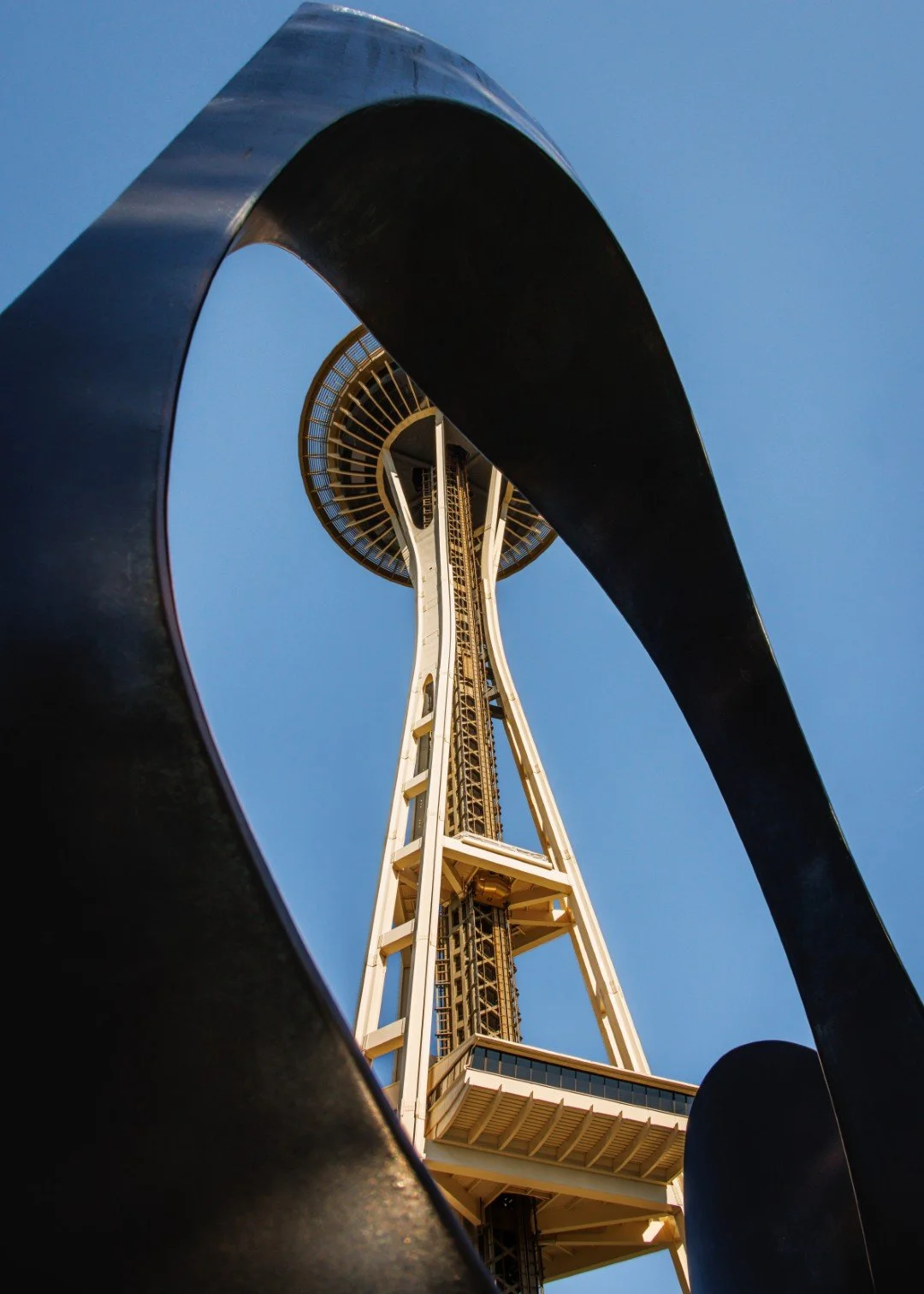 Needle and Form