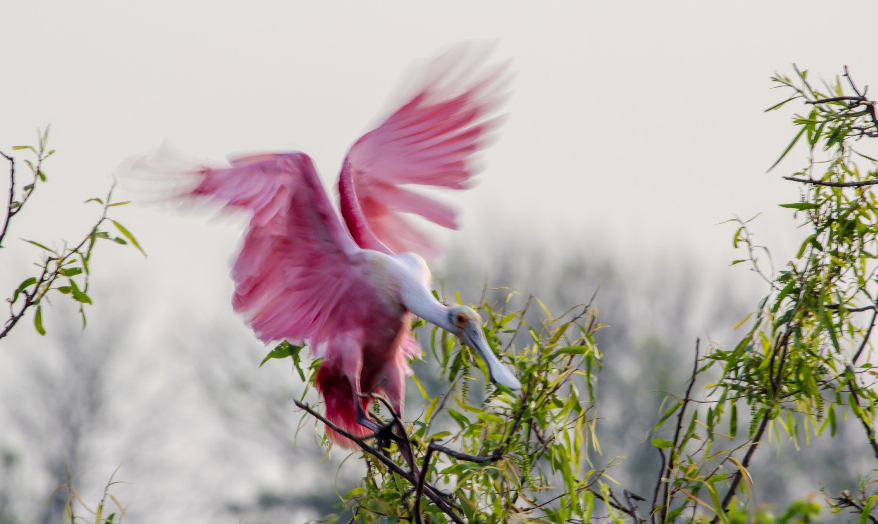 Soft Landing