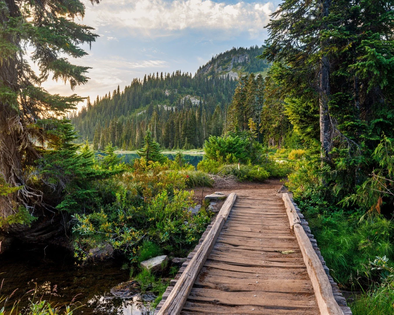A wooden trail bridge over a small stream leading into a lush green forest with pine trees on either side, mountains in the background, and a partly cloudy sky.