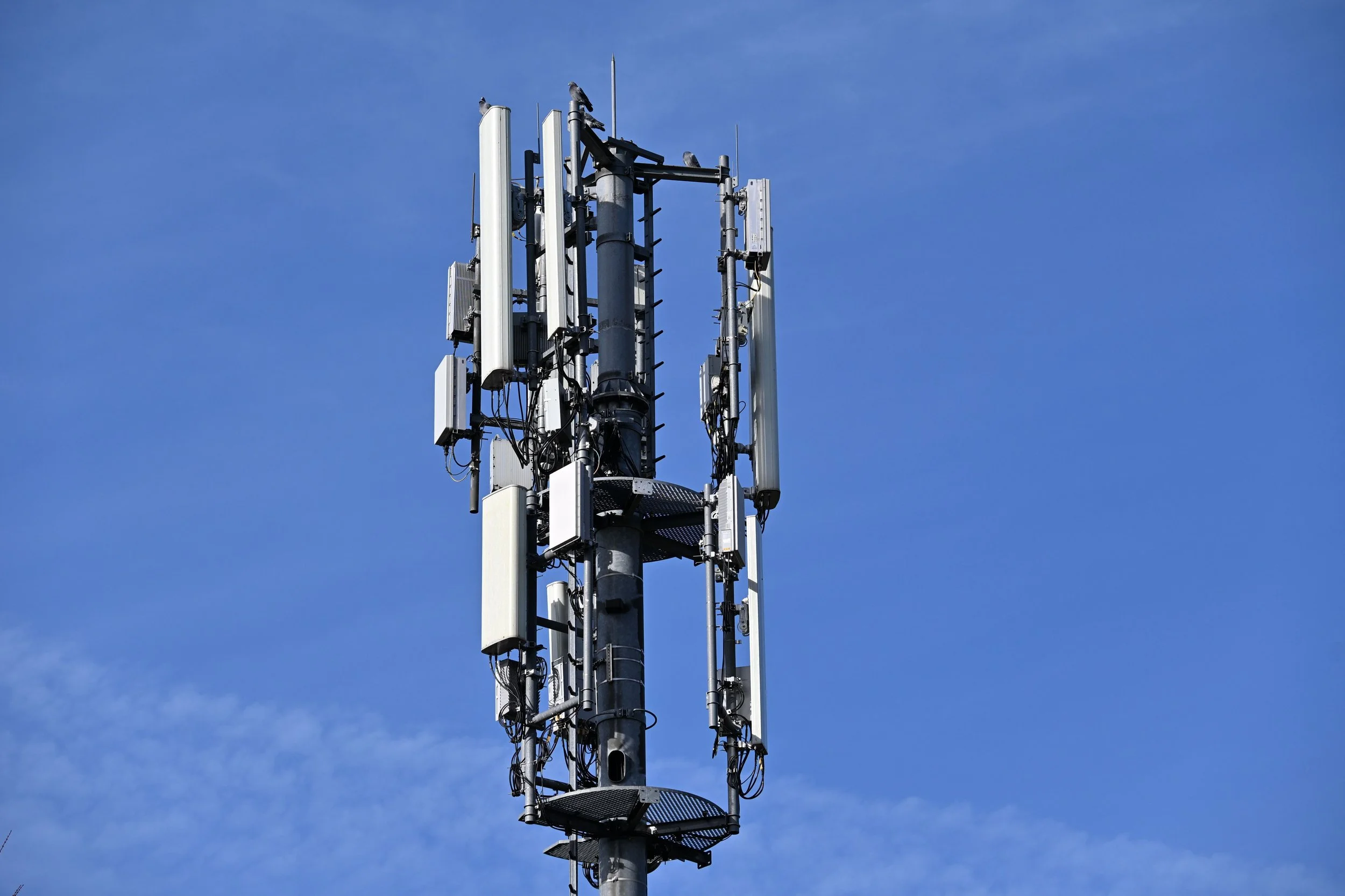 electromagnetic hypersensitivity