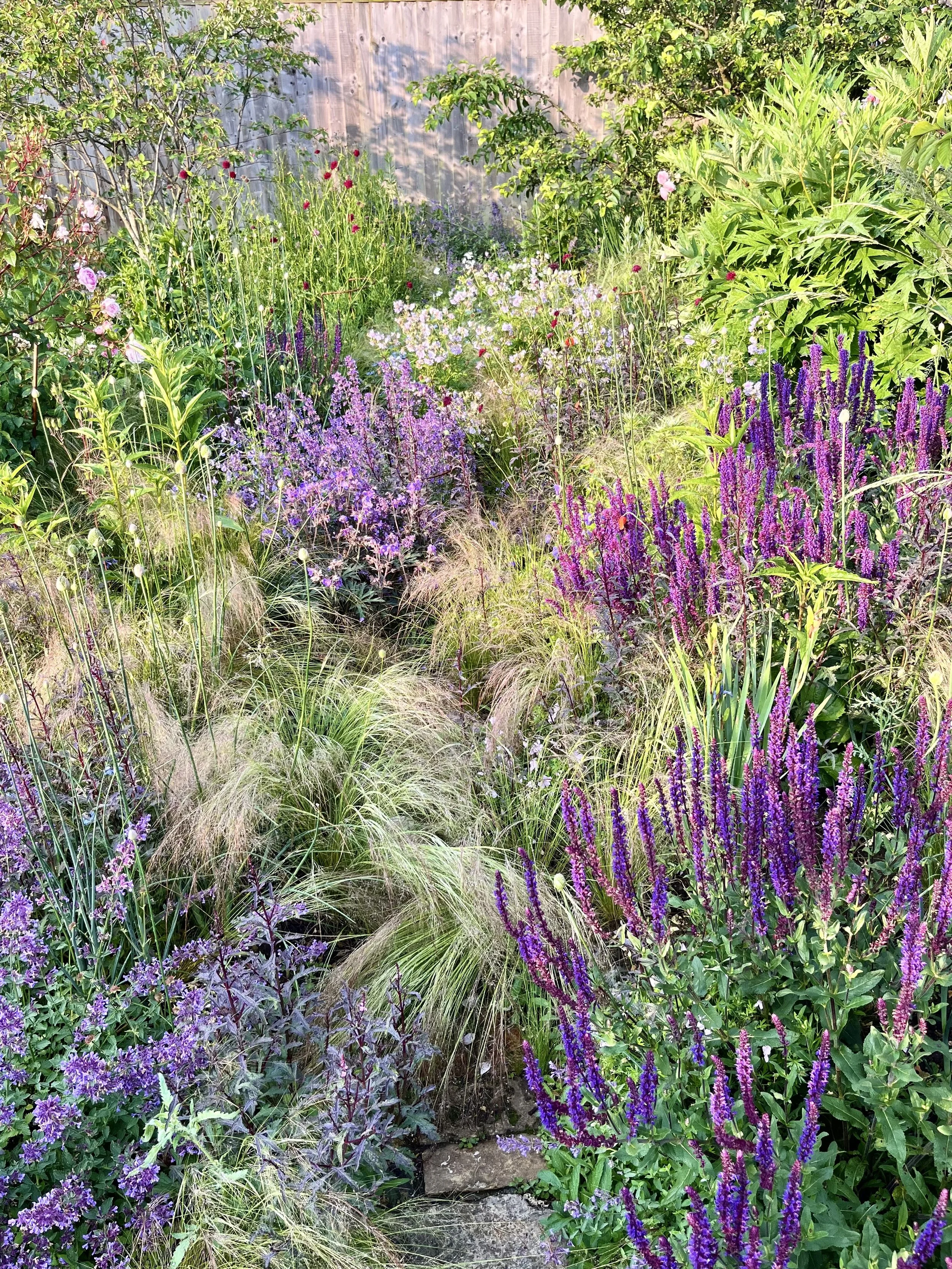 A garden filled with purple, pink, white, and red flowers, with green foliage and a weathered wooden fence in the background.