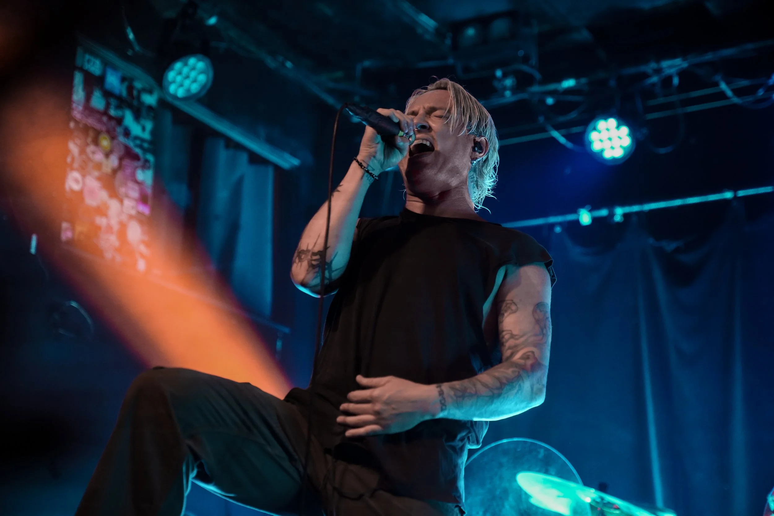 the word alive [2026]