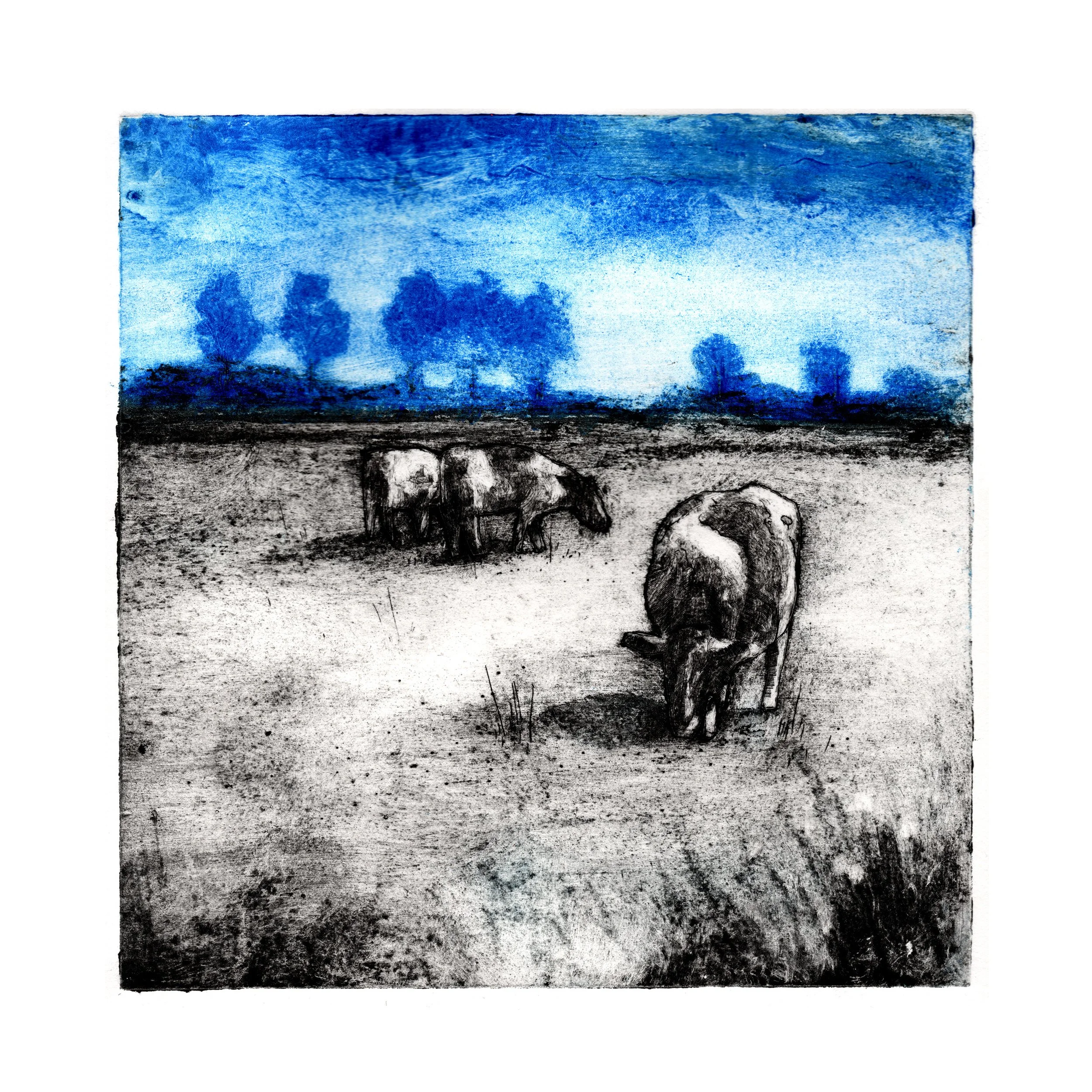 Introduction to Collagraphs 