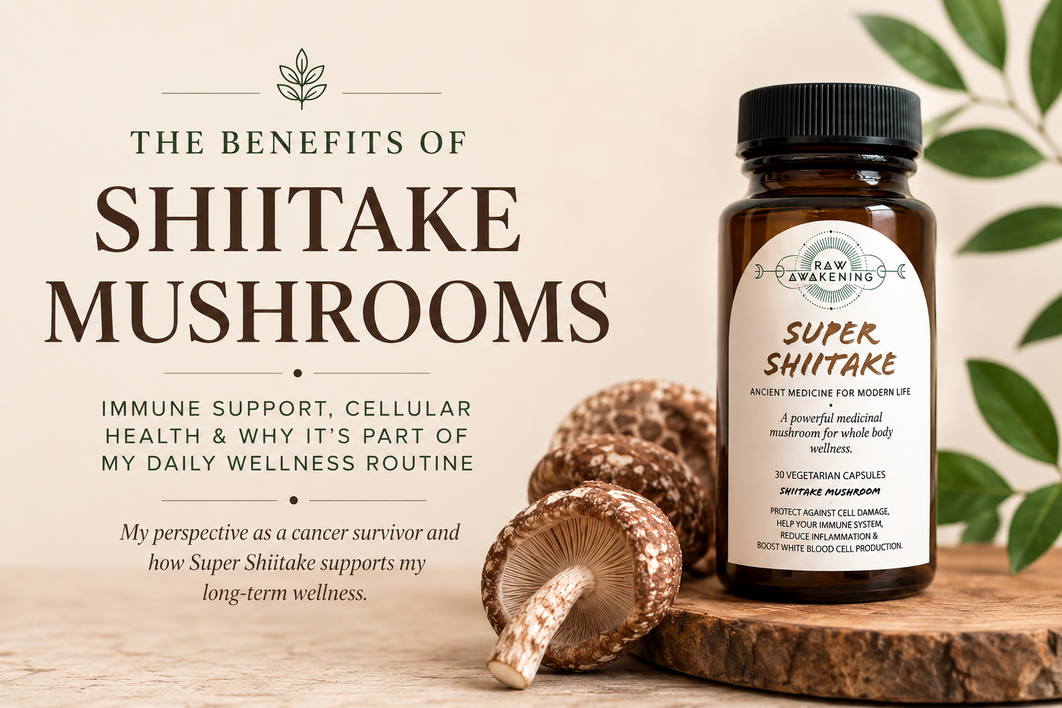 Shiitake Mushrooms: Immune Support, Cellular Health &amp; Why They're Part of My Daily Routine