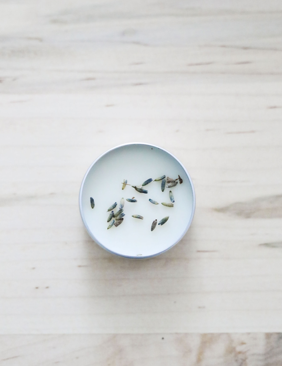 Lavender Salve