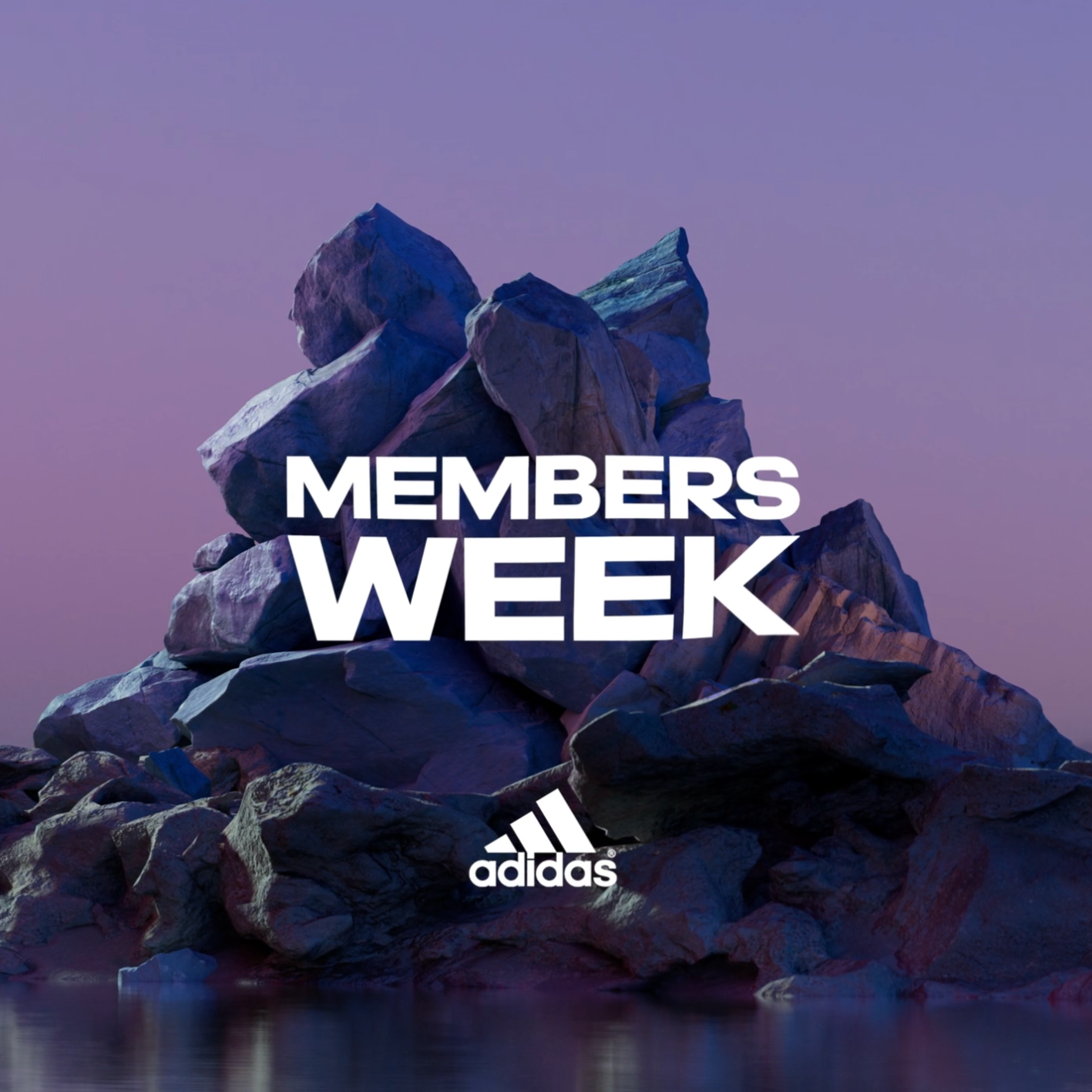 Adidas- Digital Campaign
