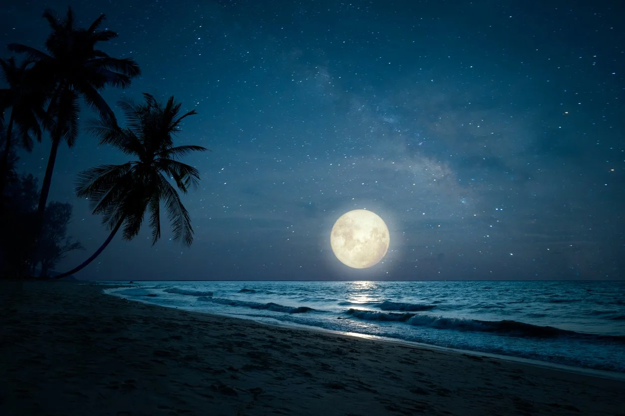 Nighttime beach scene with palm trees, a full moon reflecting on the ocean, and stars in the sky.