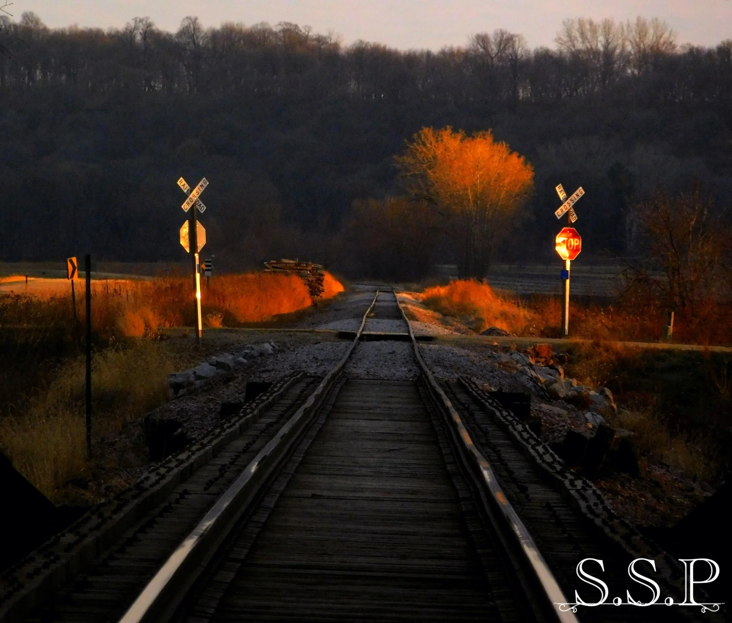 New Image9_Watermarked.jpg