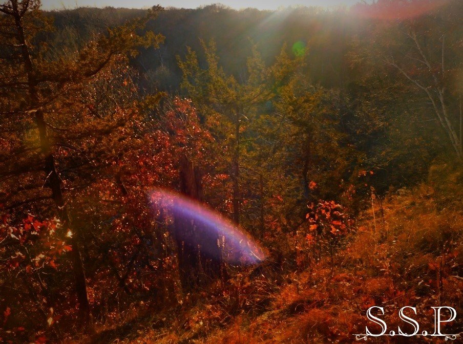 Sun Glare_Watermarked.jpg