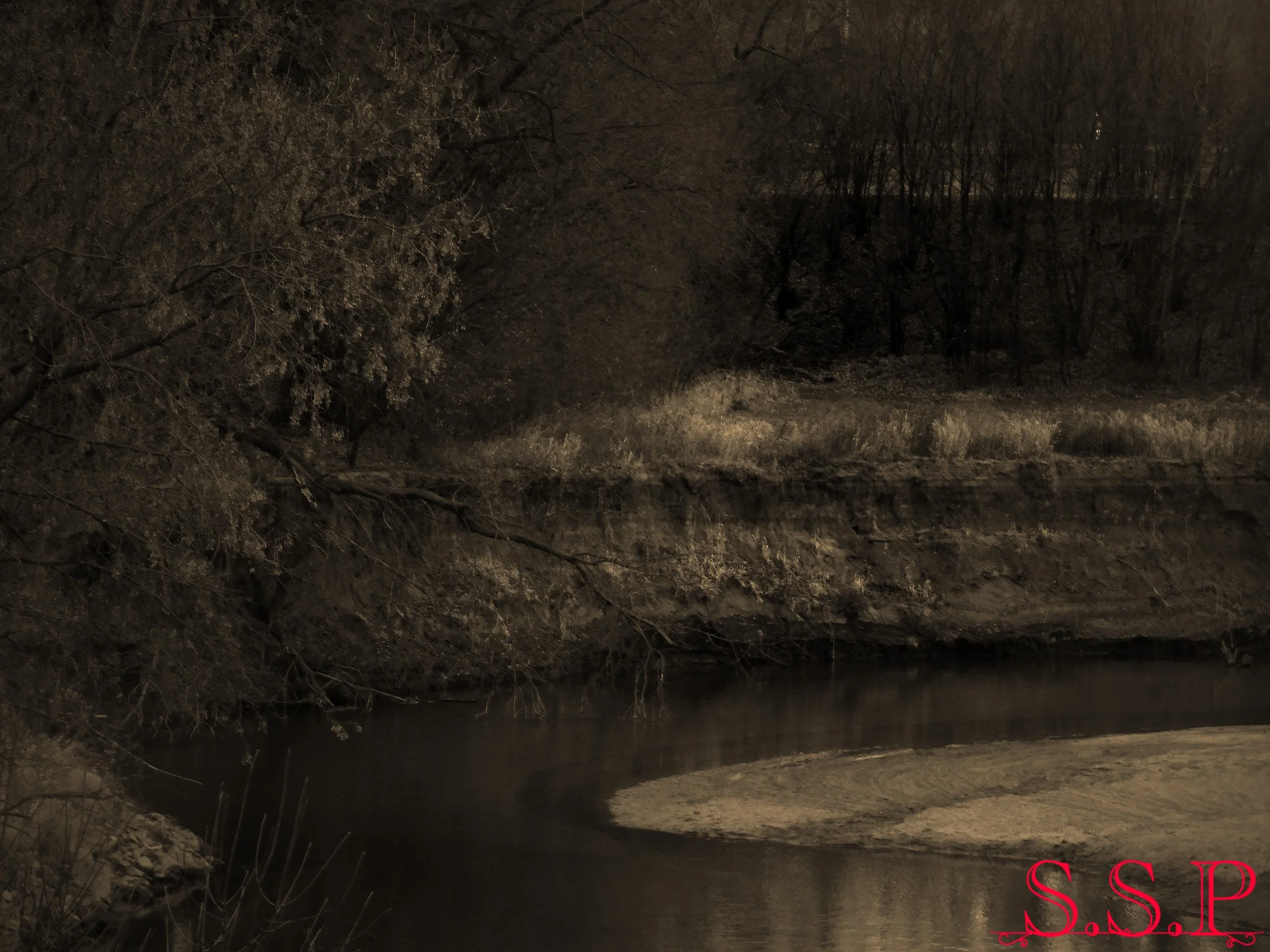 New Image3_Watermarked.jpg