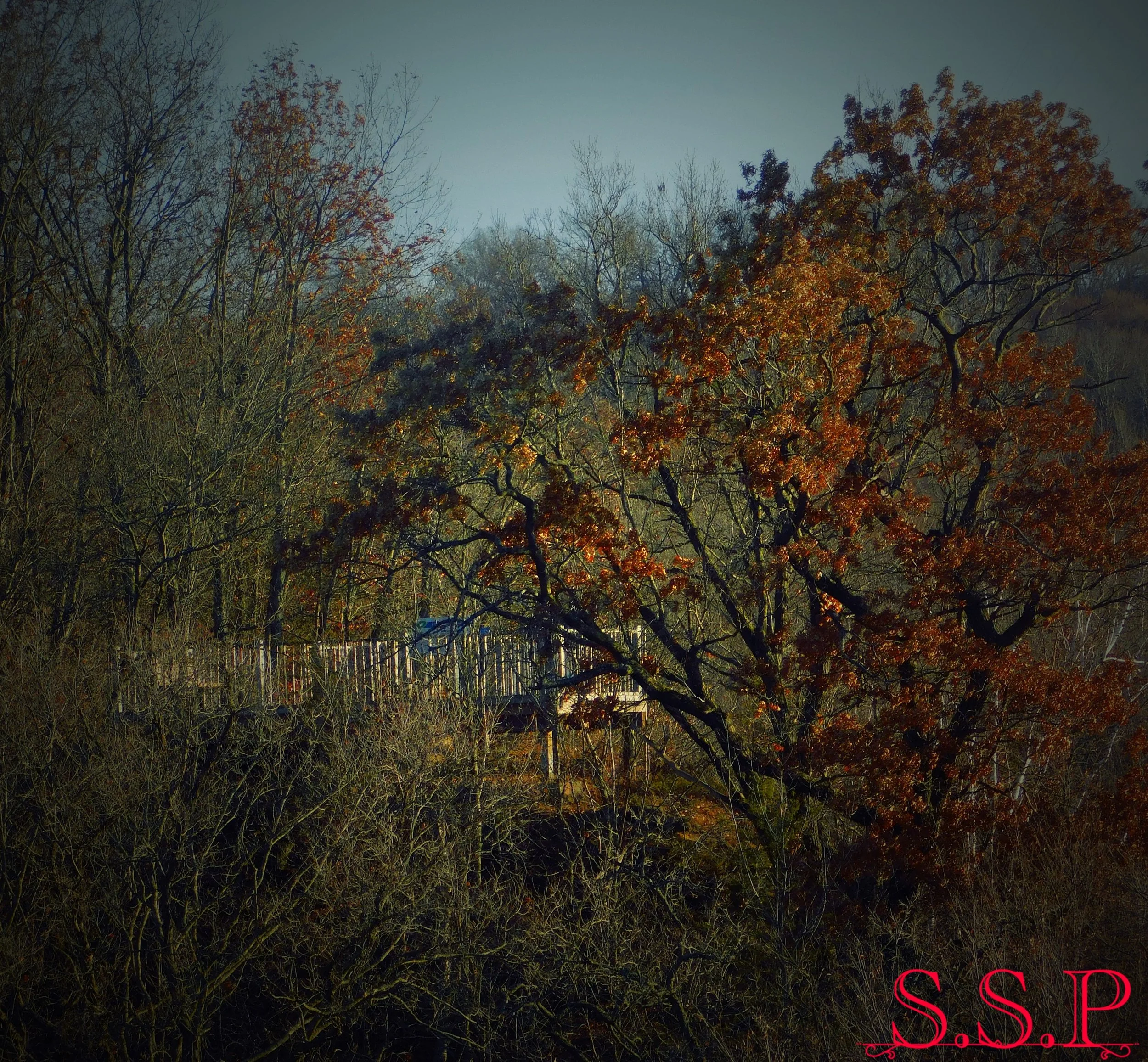 New Image_Watermarked.jpg
