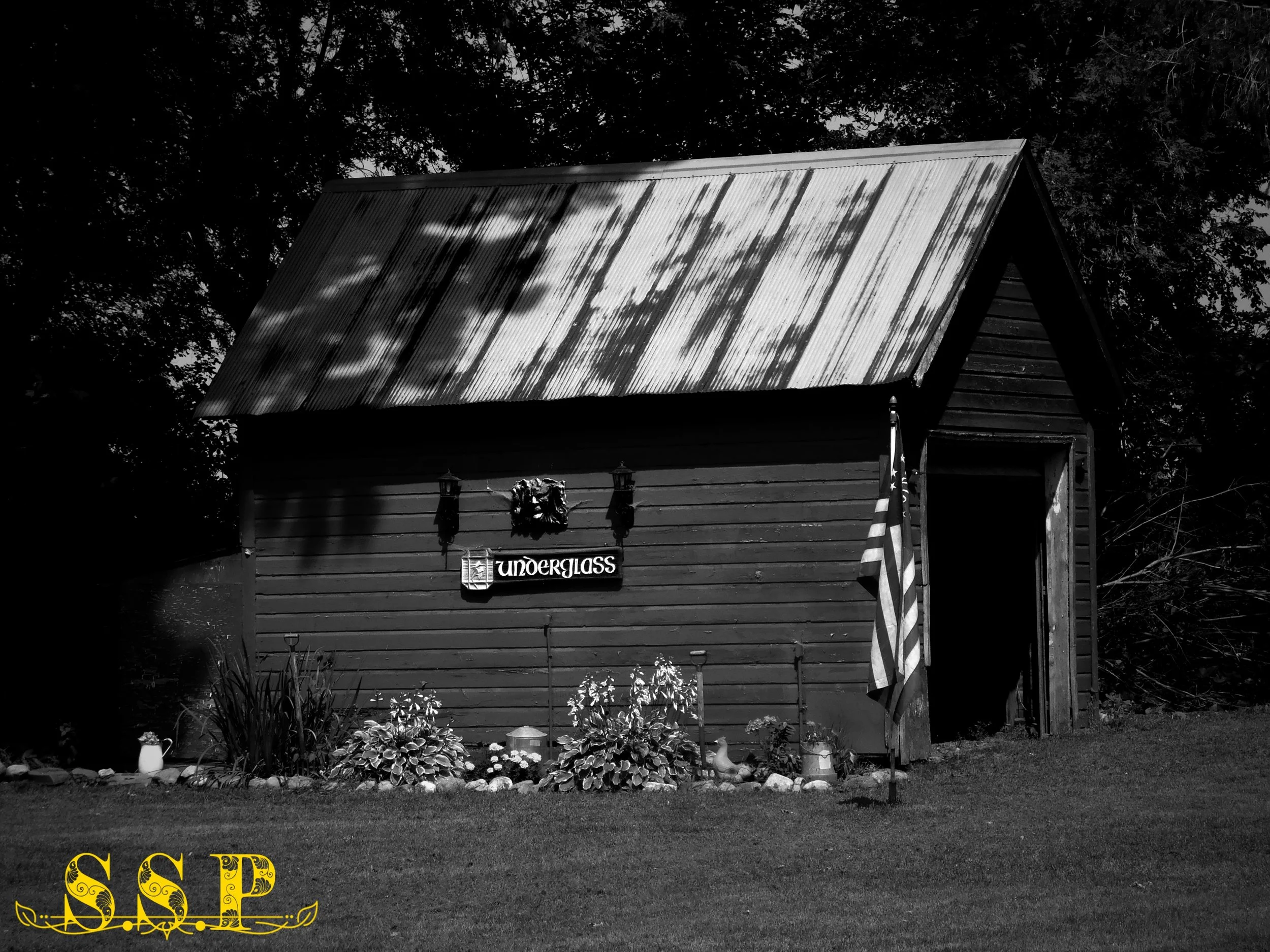 DSCN2776b_Watermarked.jpg