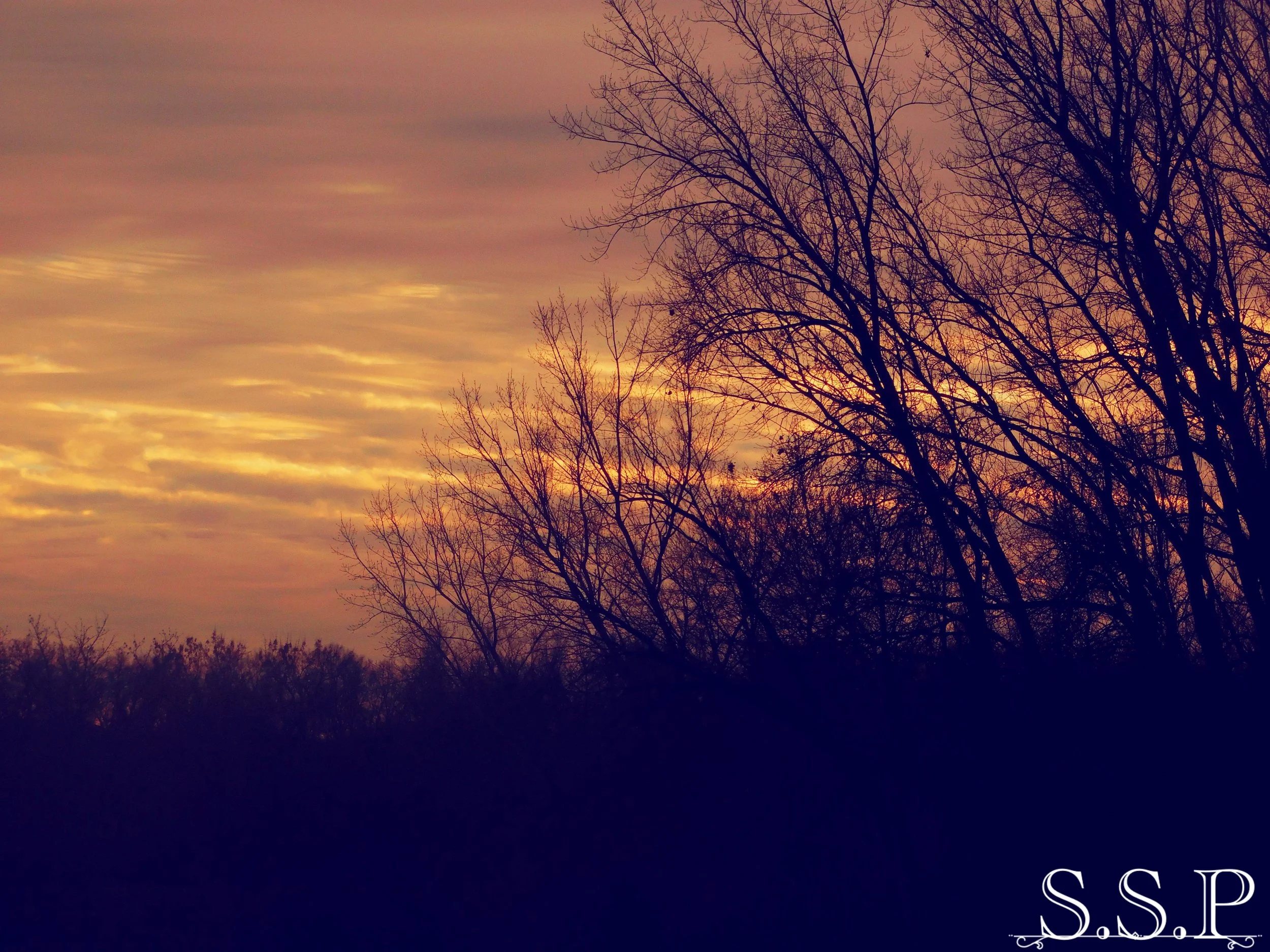 New Image2_Watermarked.jpg