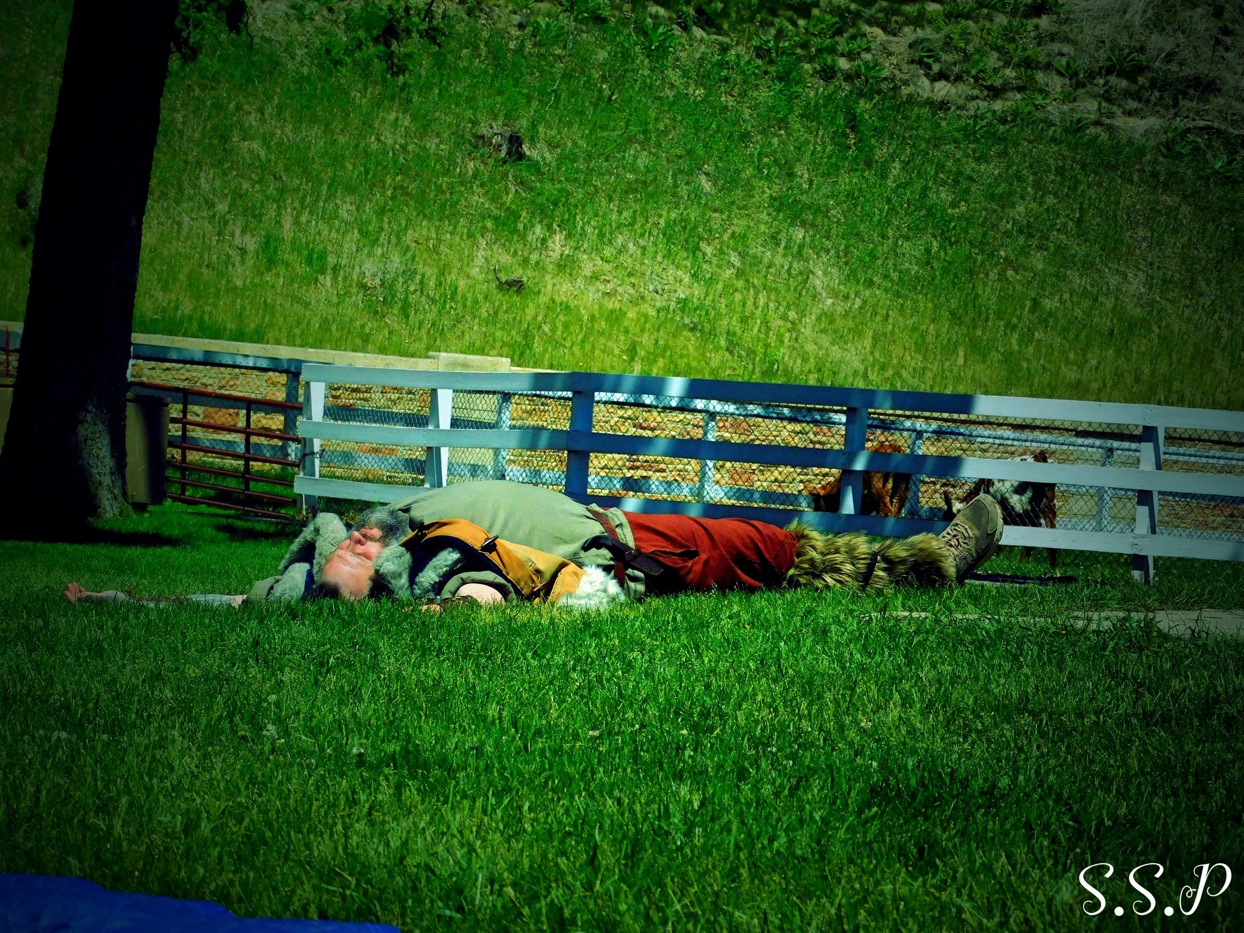 DSCN0498_Watermarked.jpg