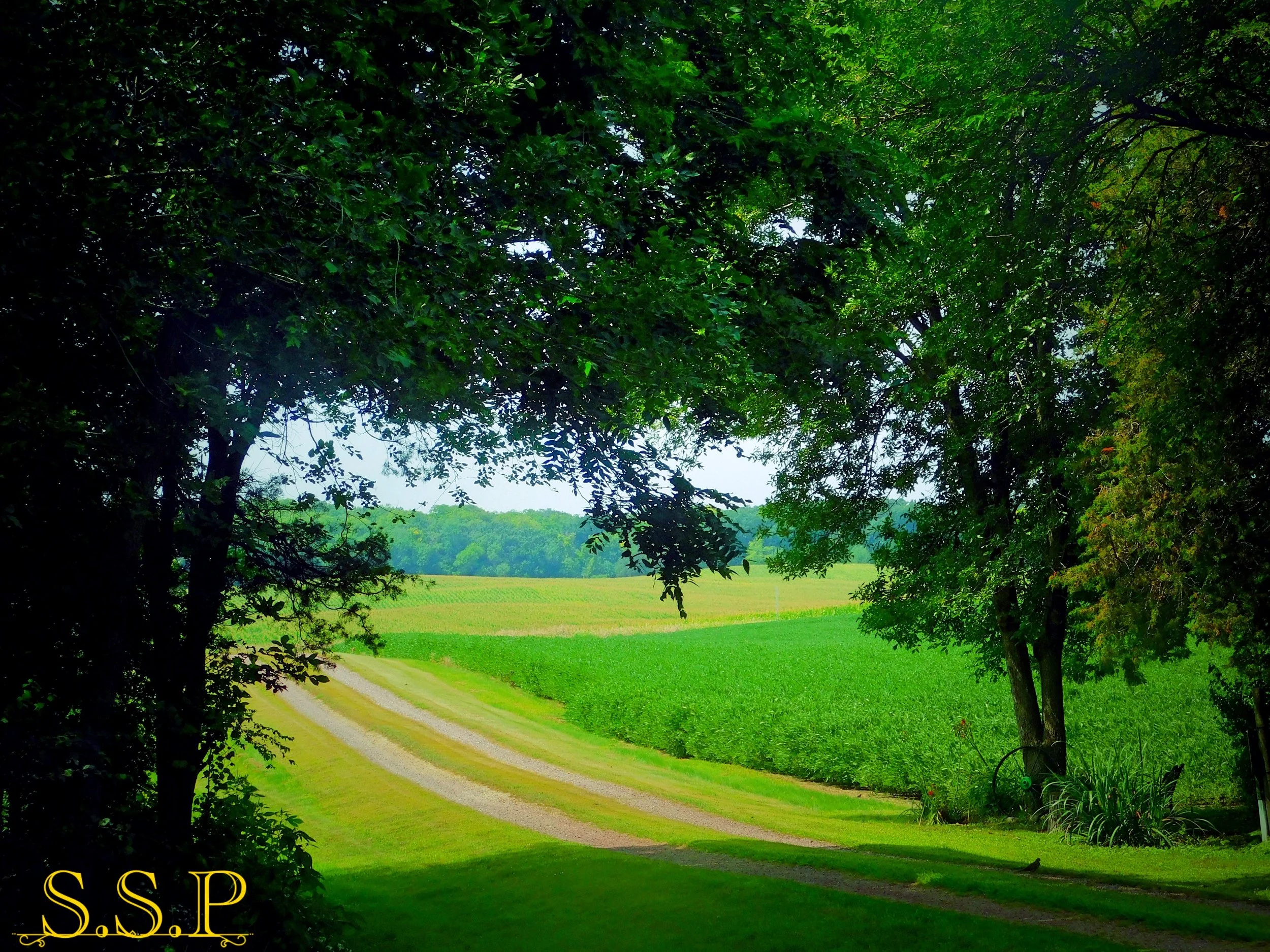 DSCN2881_Watermarked.jpg