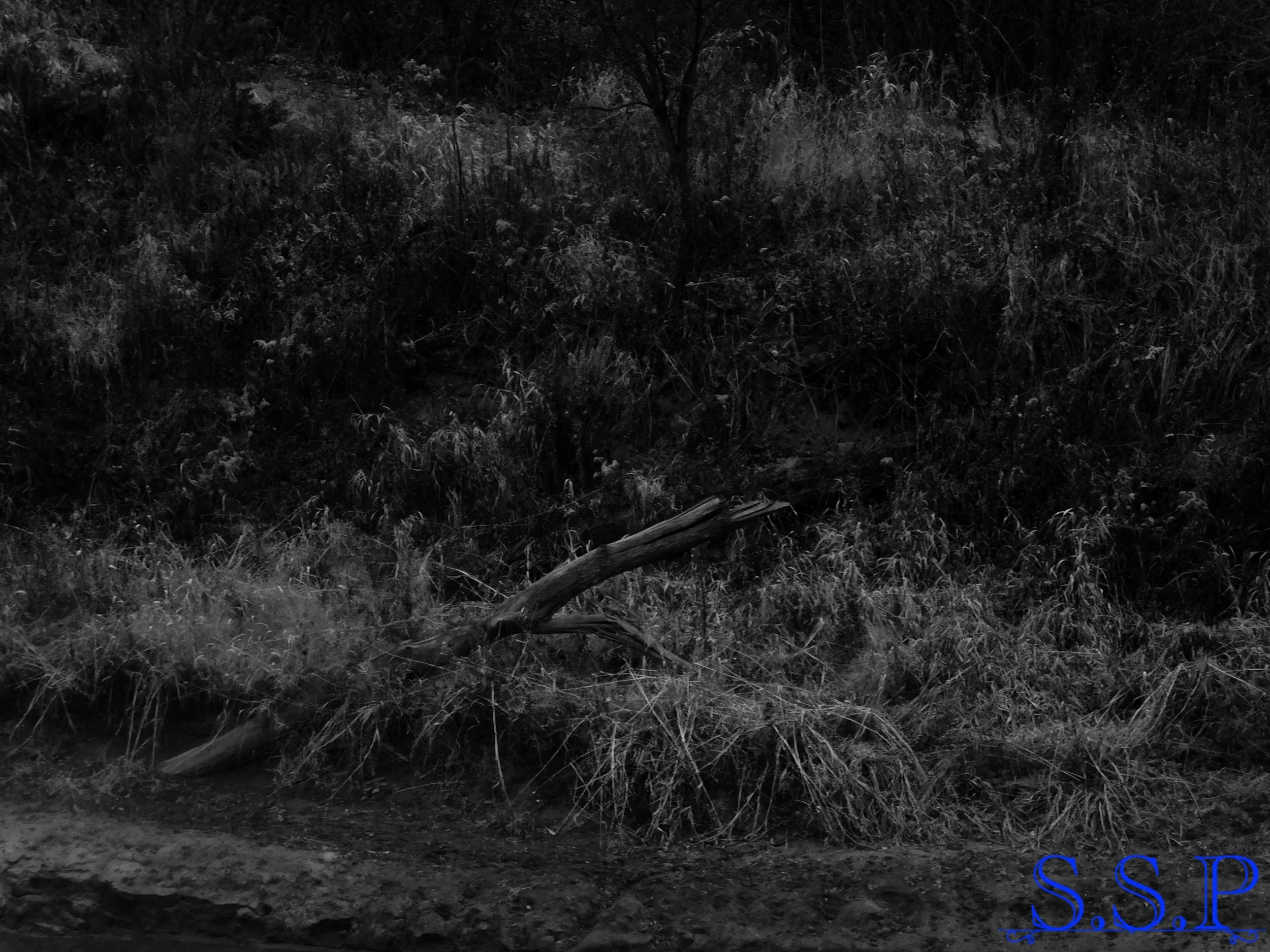 DSCN1744_Watermarked.jpg