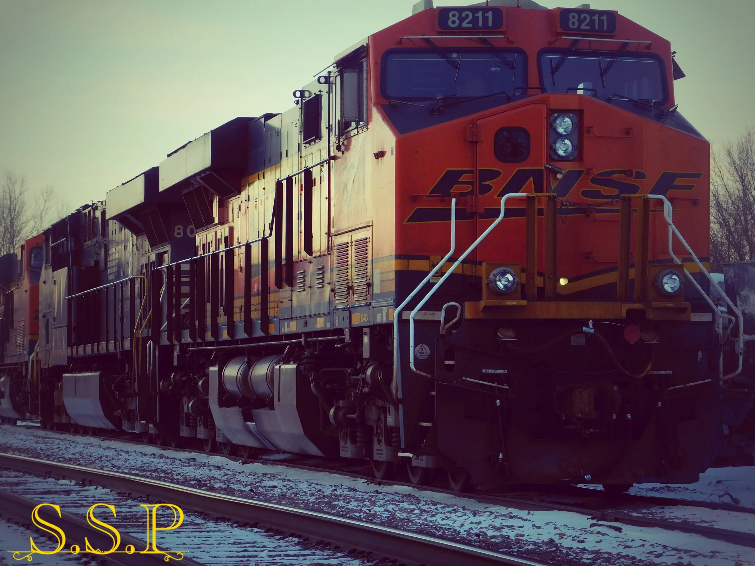 D8190_Watermarked.jpg