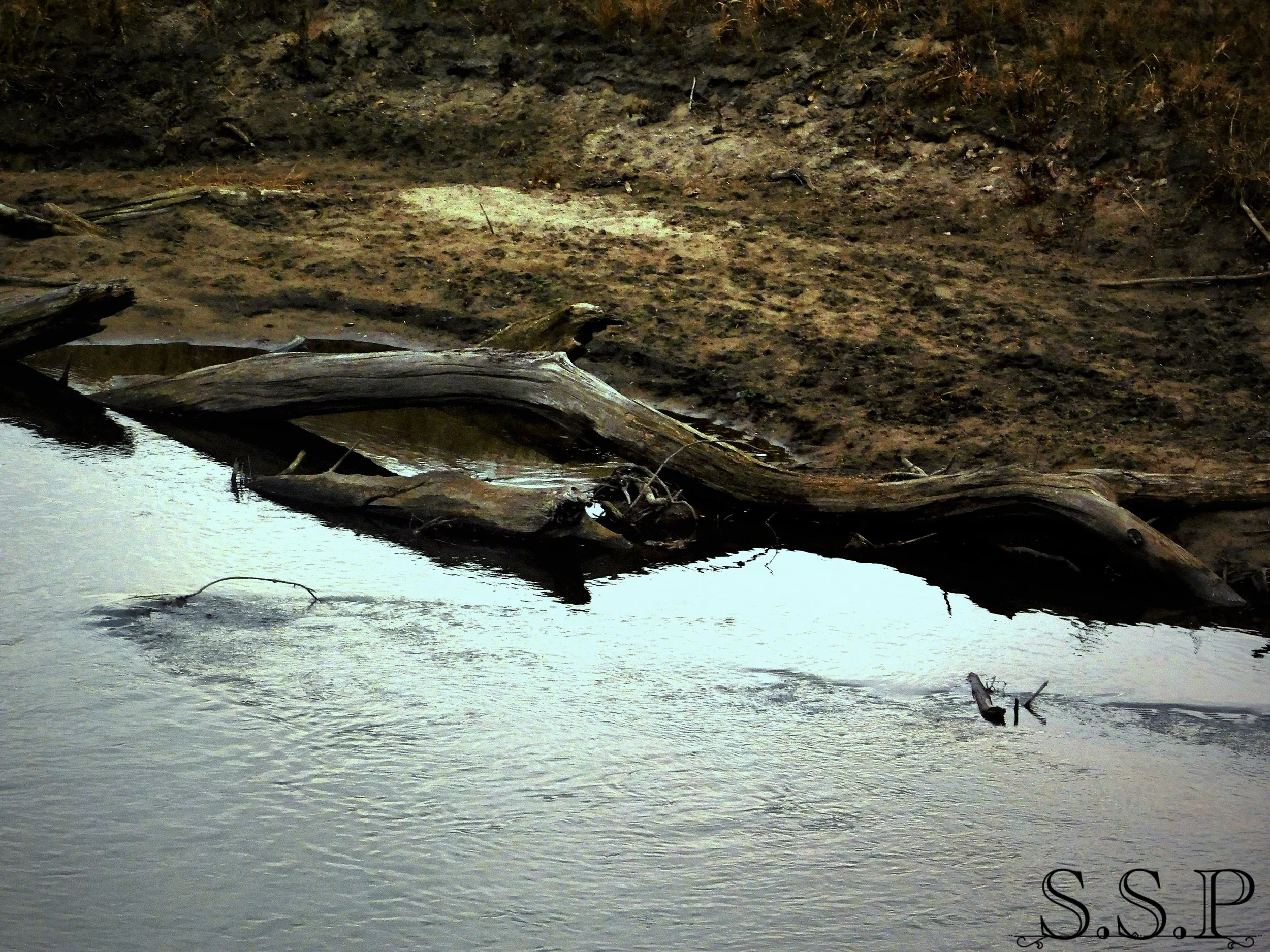 New Image1_Watermarked.jpg