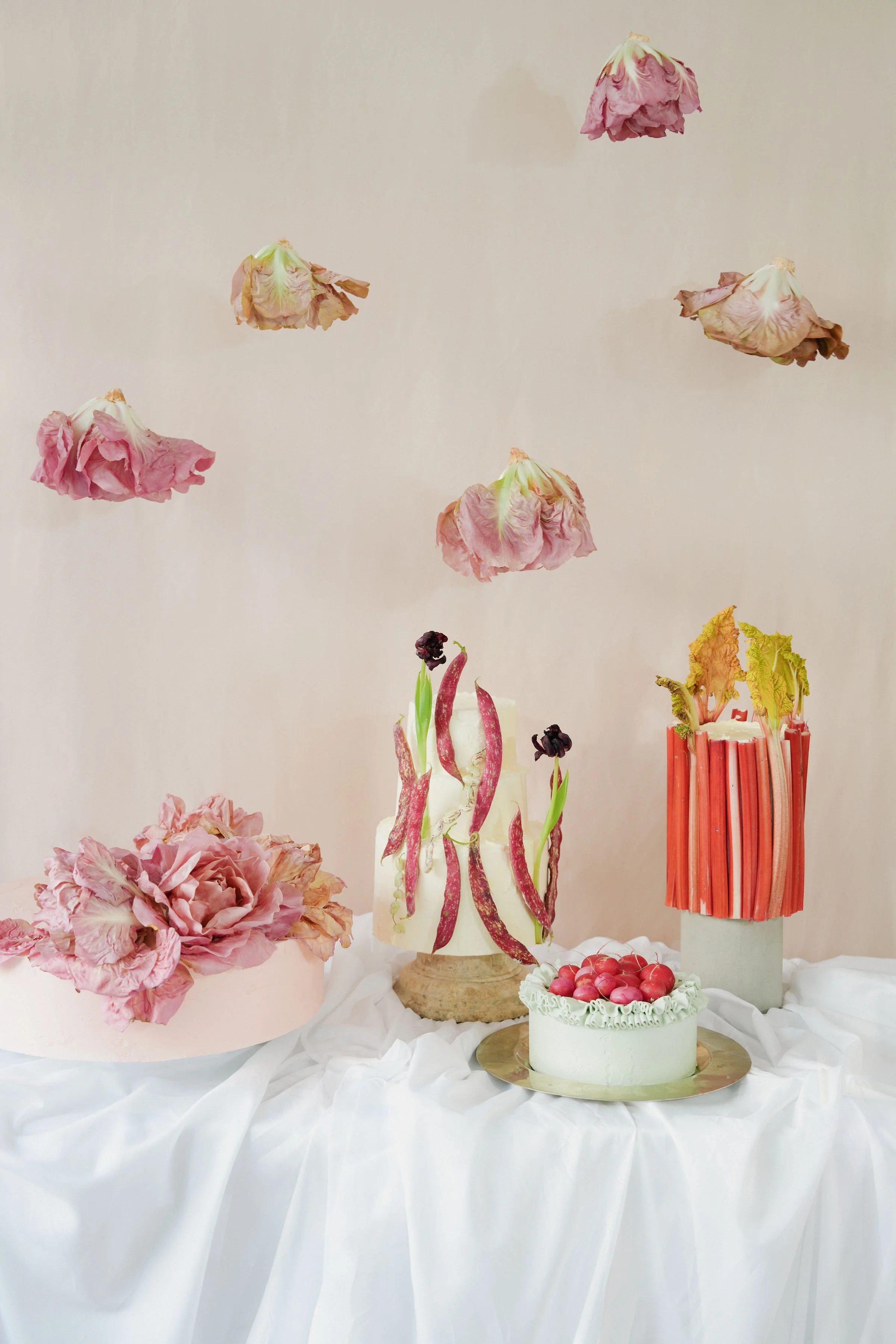 nuun | creative contemporary cakes