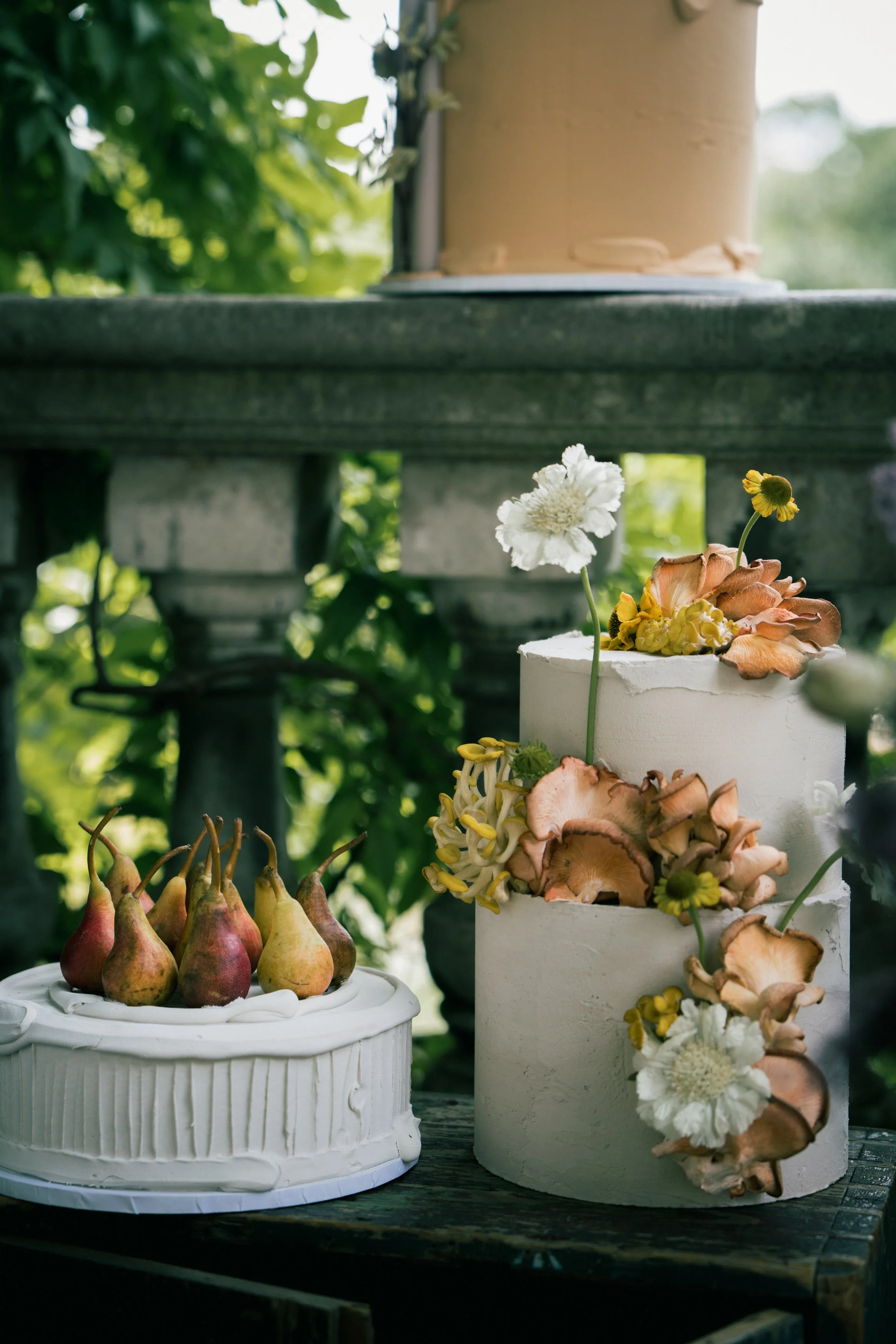 nuun | creative contemporary cakes