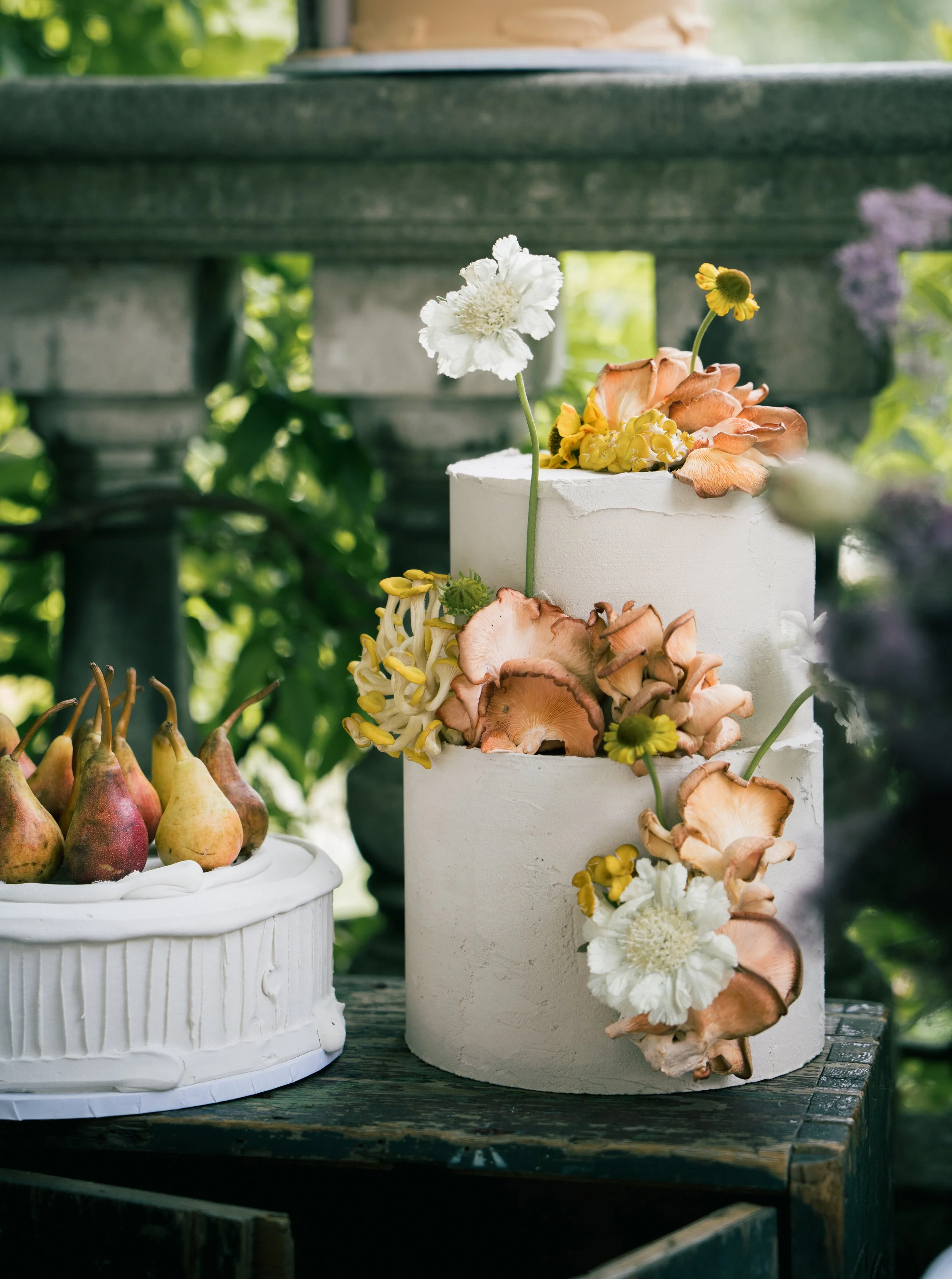 nuun | creative contemporary cakes